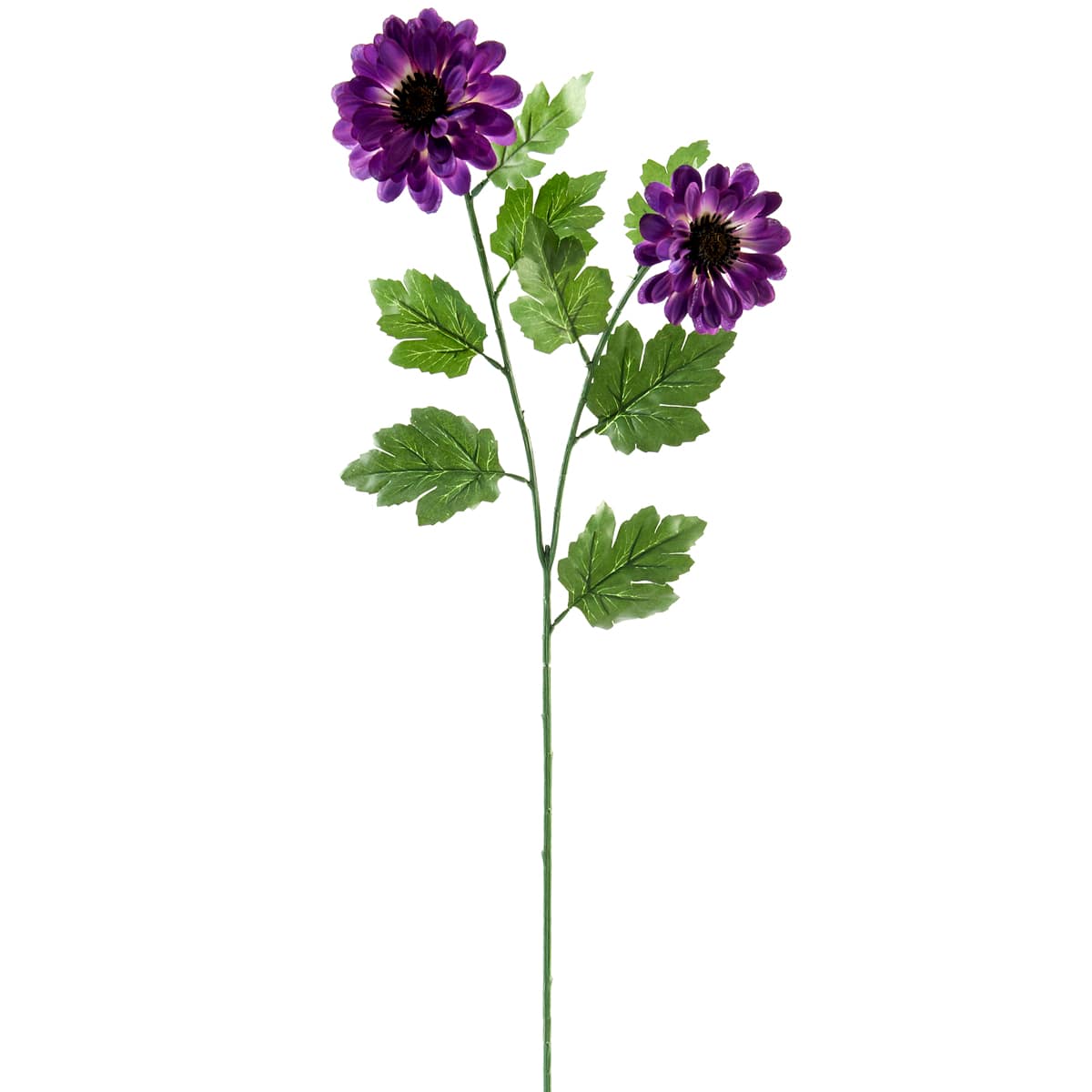 12 Pack: Purple Zinnia Mum Spray by Ashland®