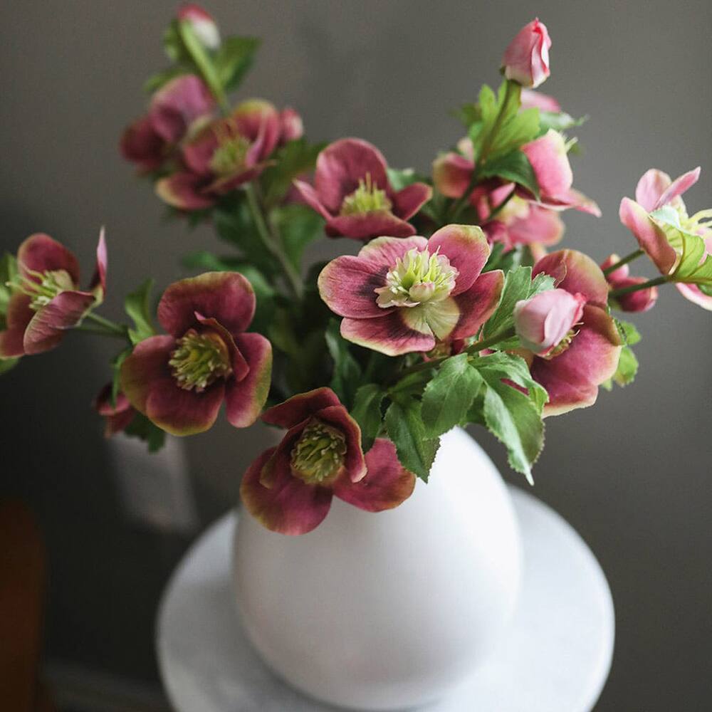 Prestige Botanicals 18" Artificial Real Touch Mauve Pink Hellebore Stem