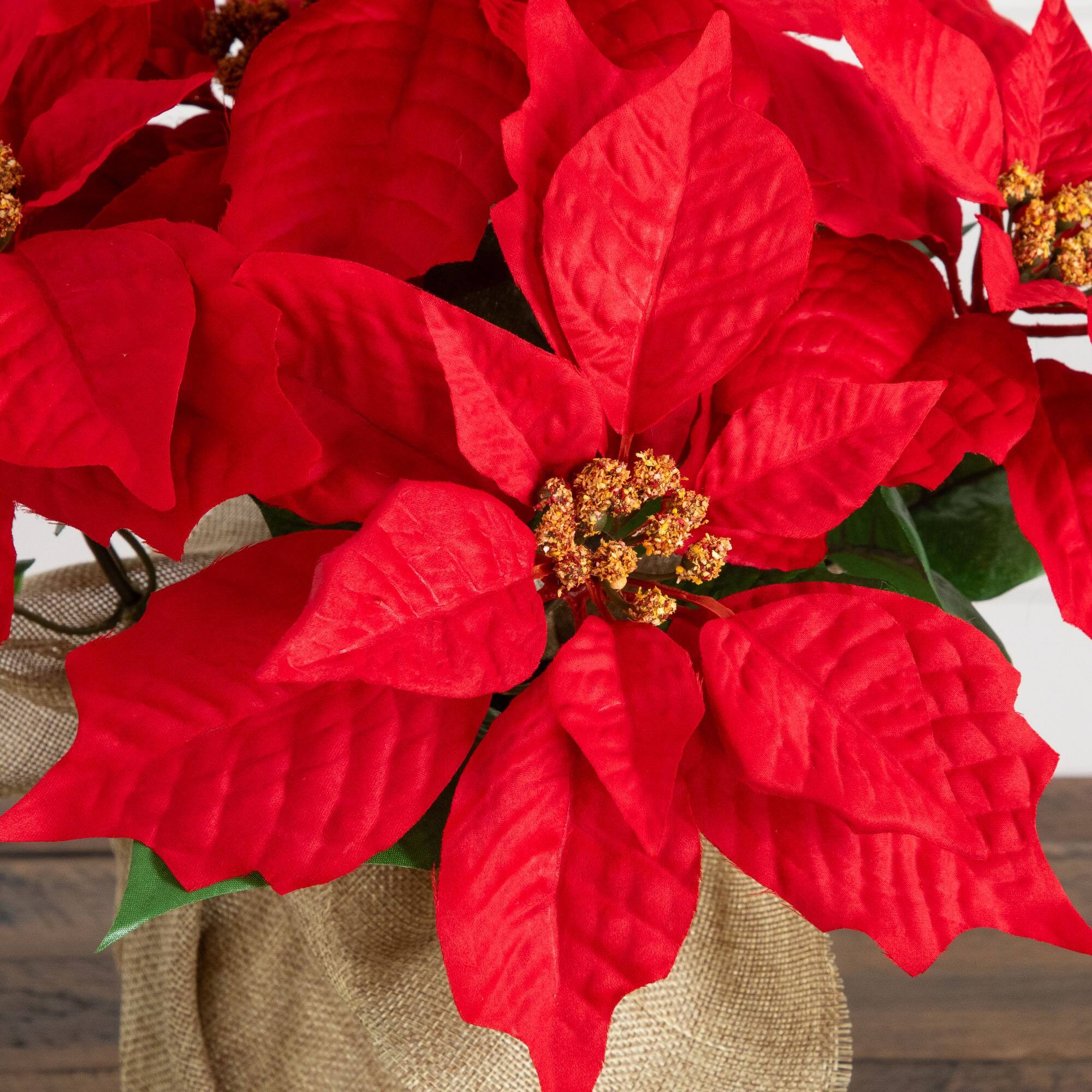 Nearly Natural 13" Artificial Poinsettia Arrangements in Burlap Planters