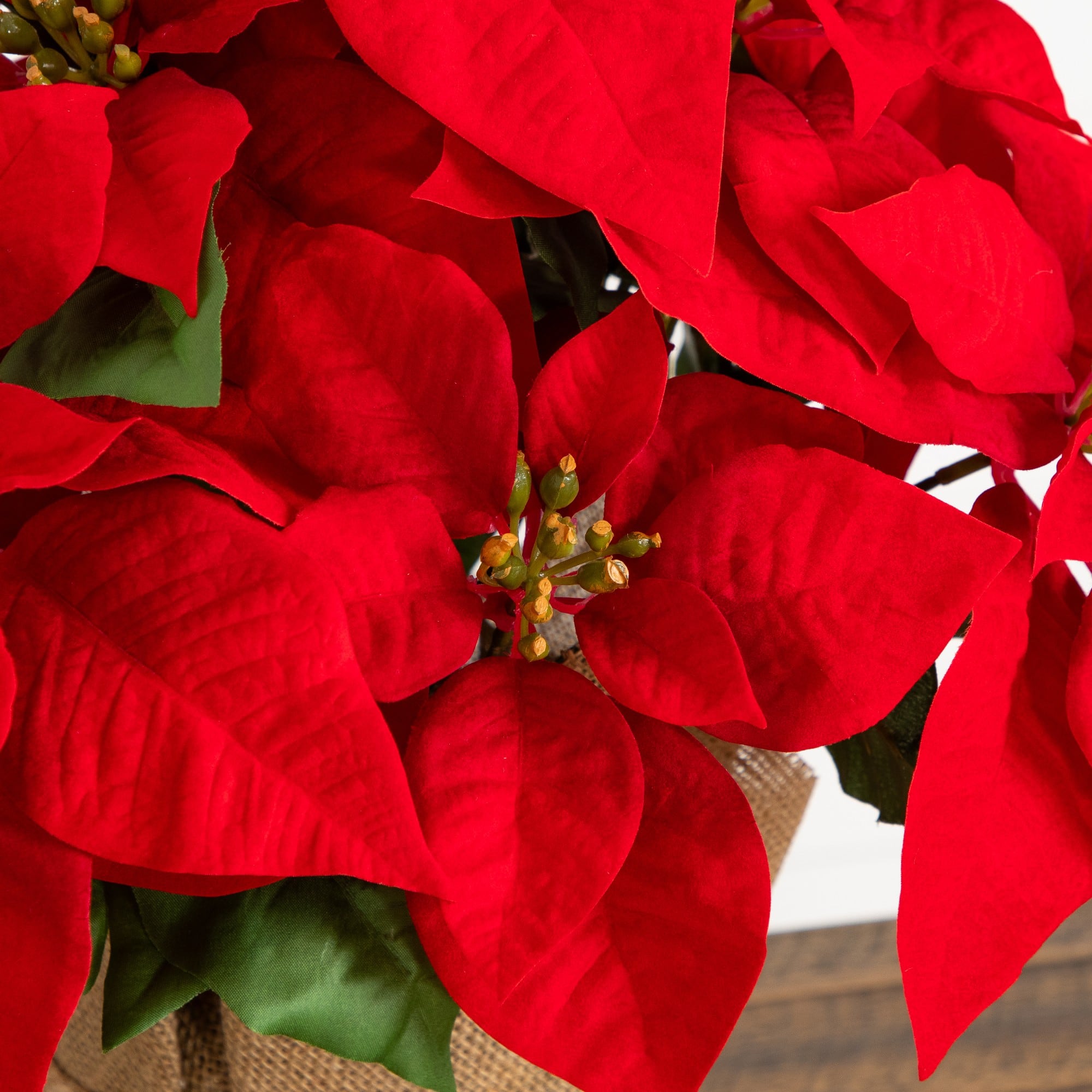 Nearly Natural 13" Artificial Red Velvet Poinsettia Arrangement in Burlap Planter