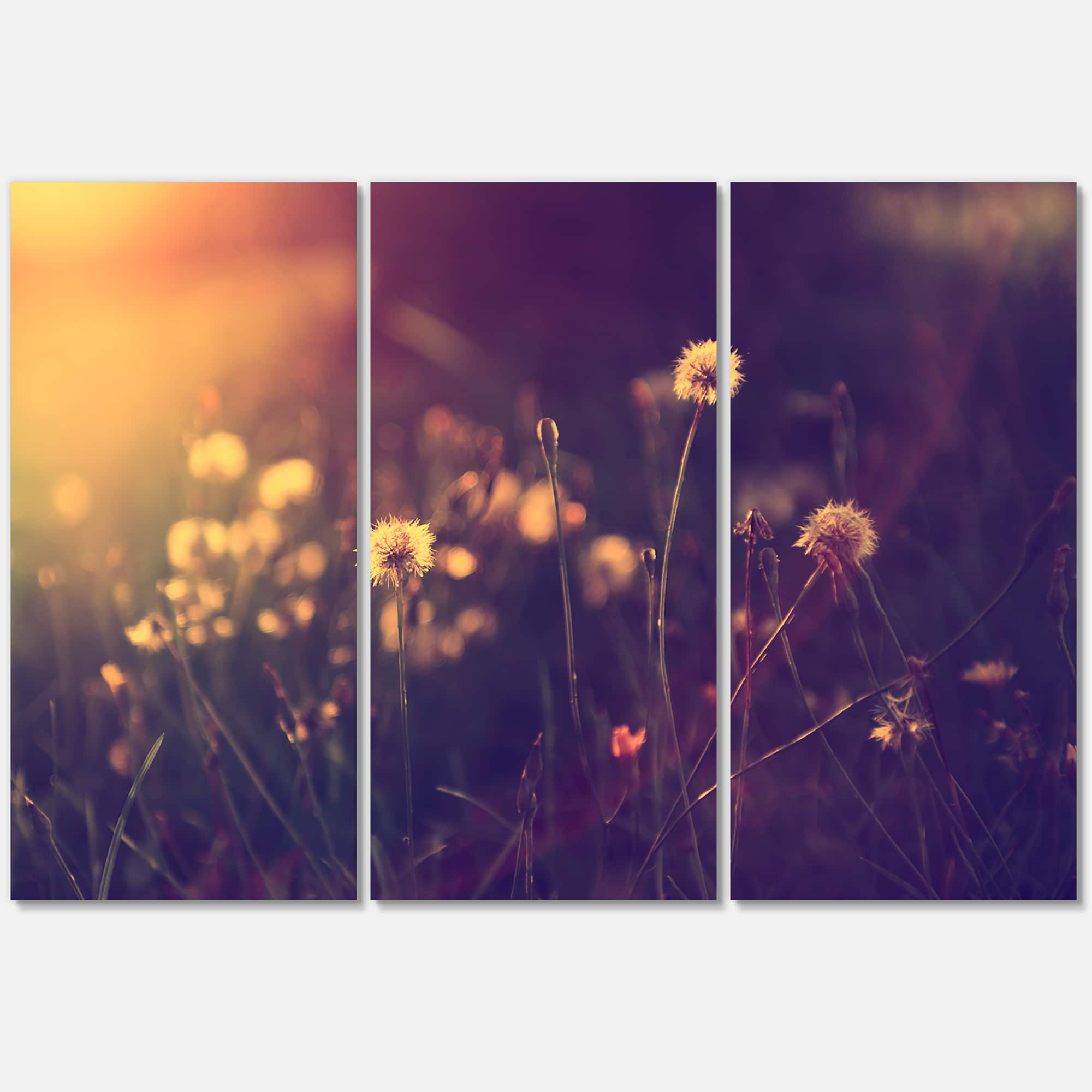 Designart - Vintage Dandelion Meadow Photo - Large Floral Canvas Art Print