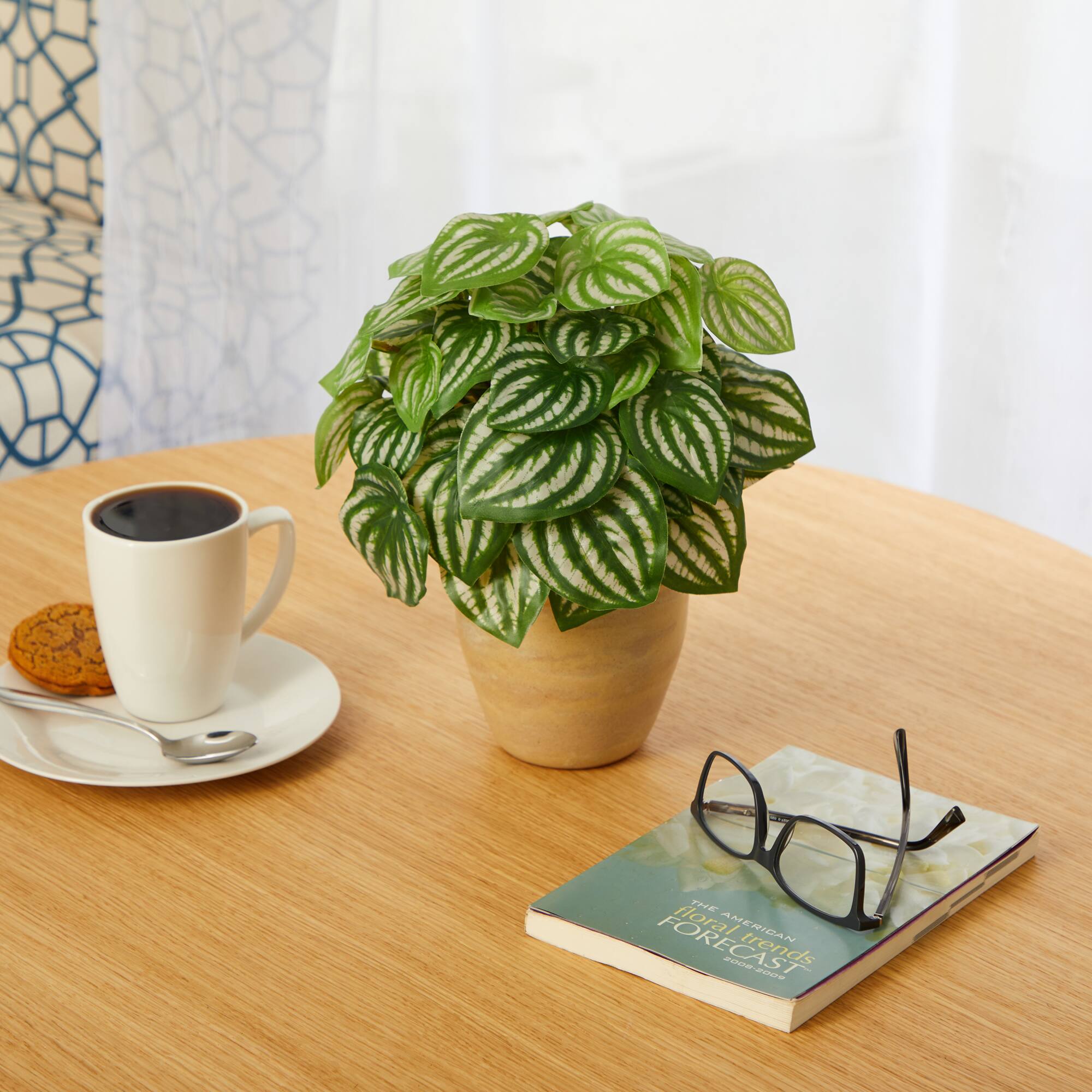 11" Watermelon Peperomia Plant in Ceramic Planter