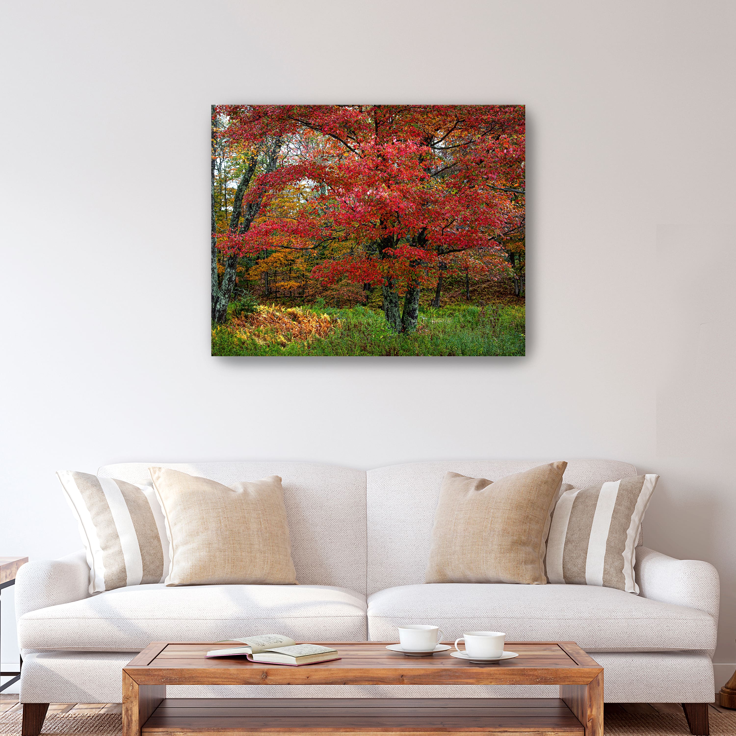Lumaprints Catskill Maple Canvas Wall Art
