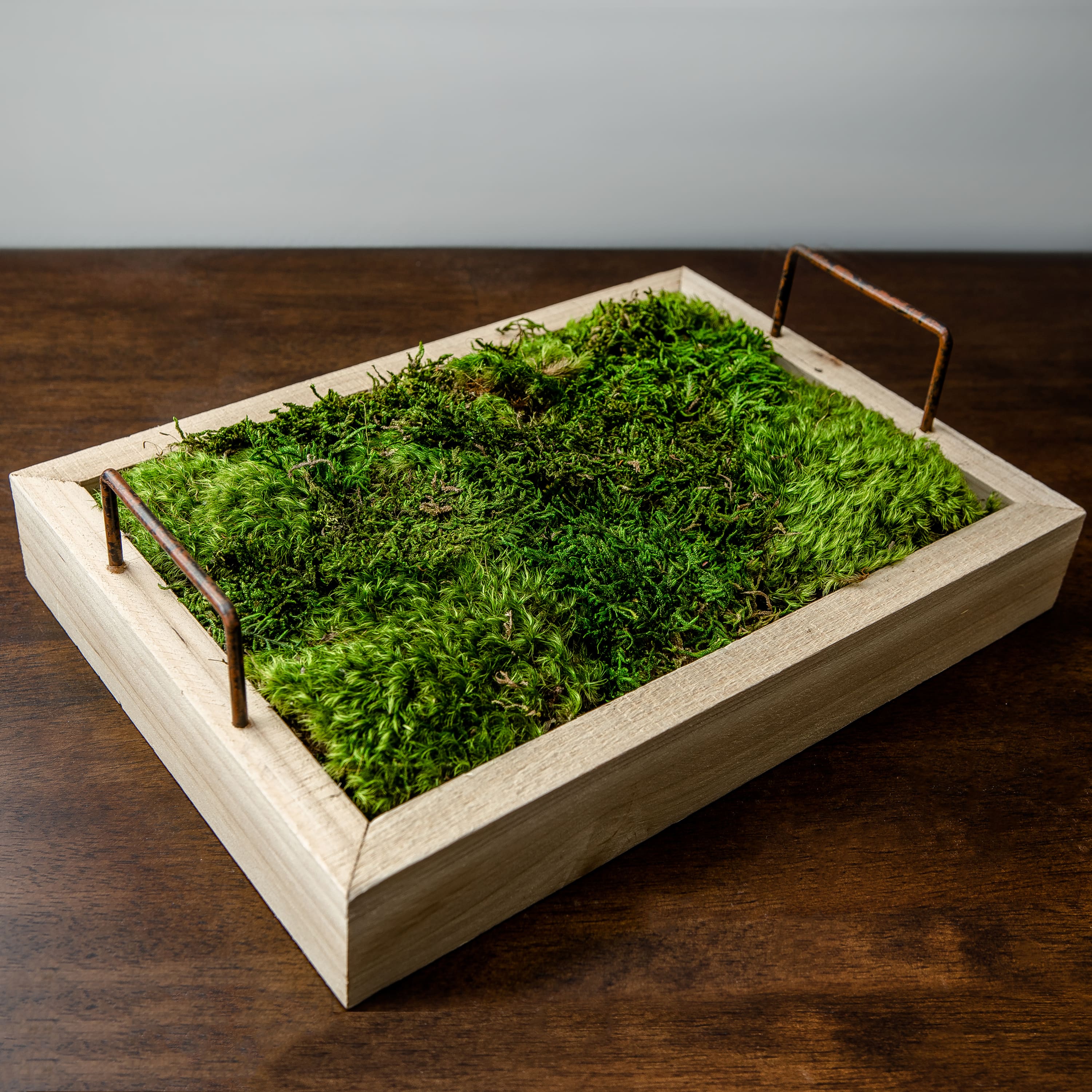 Preserved Green Sheet Moss Bulk Case