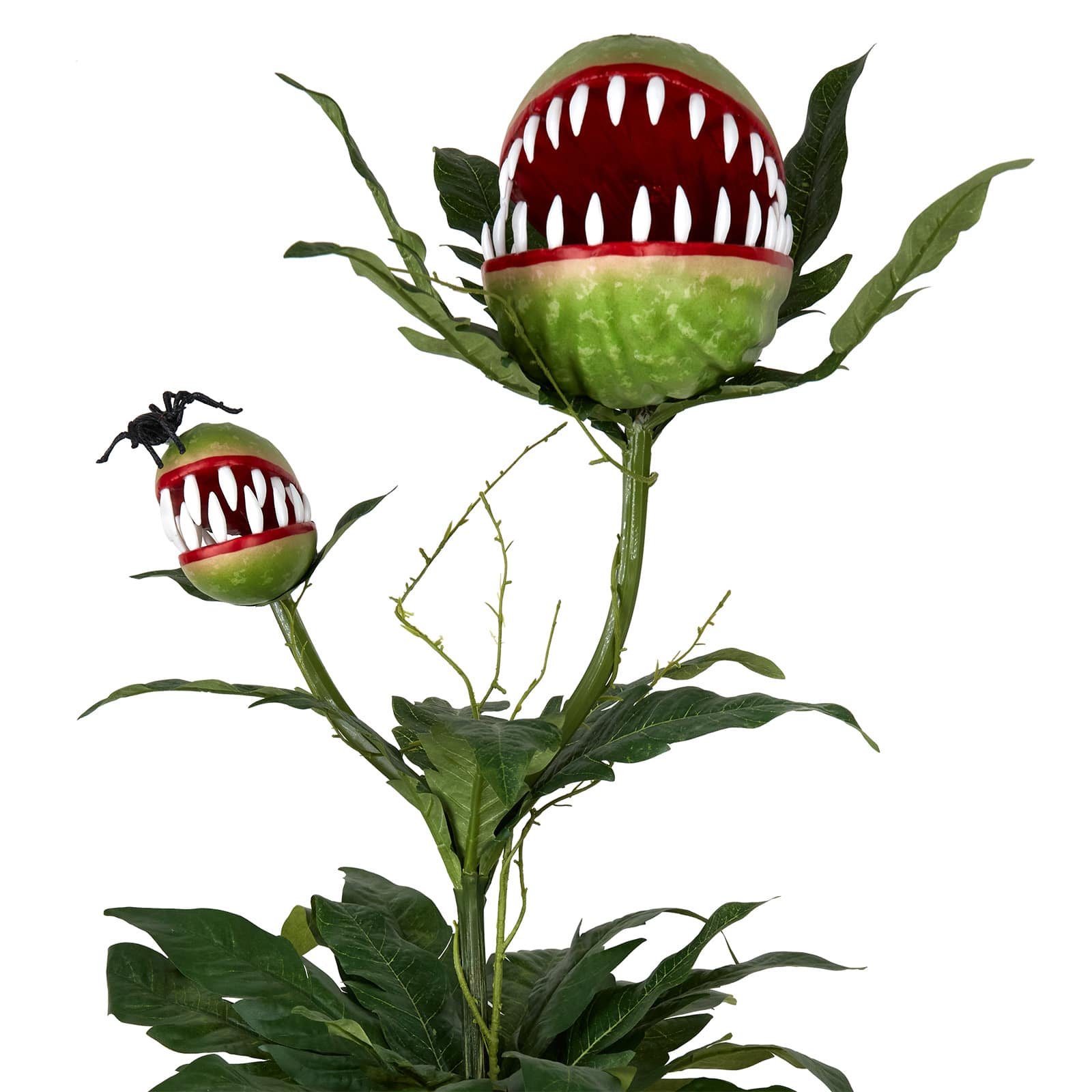 36" Potted Venus Flytrap Duo & Spider by Ashland®
