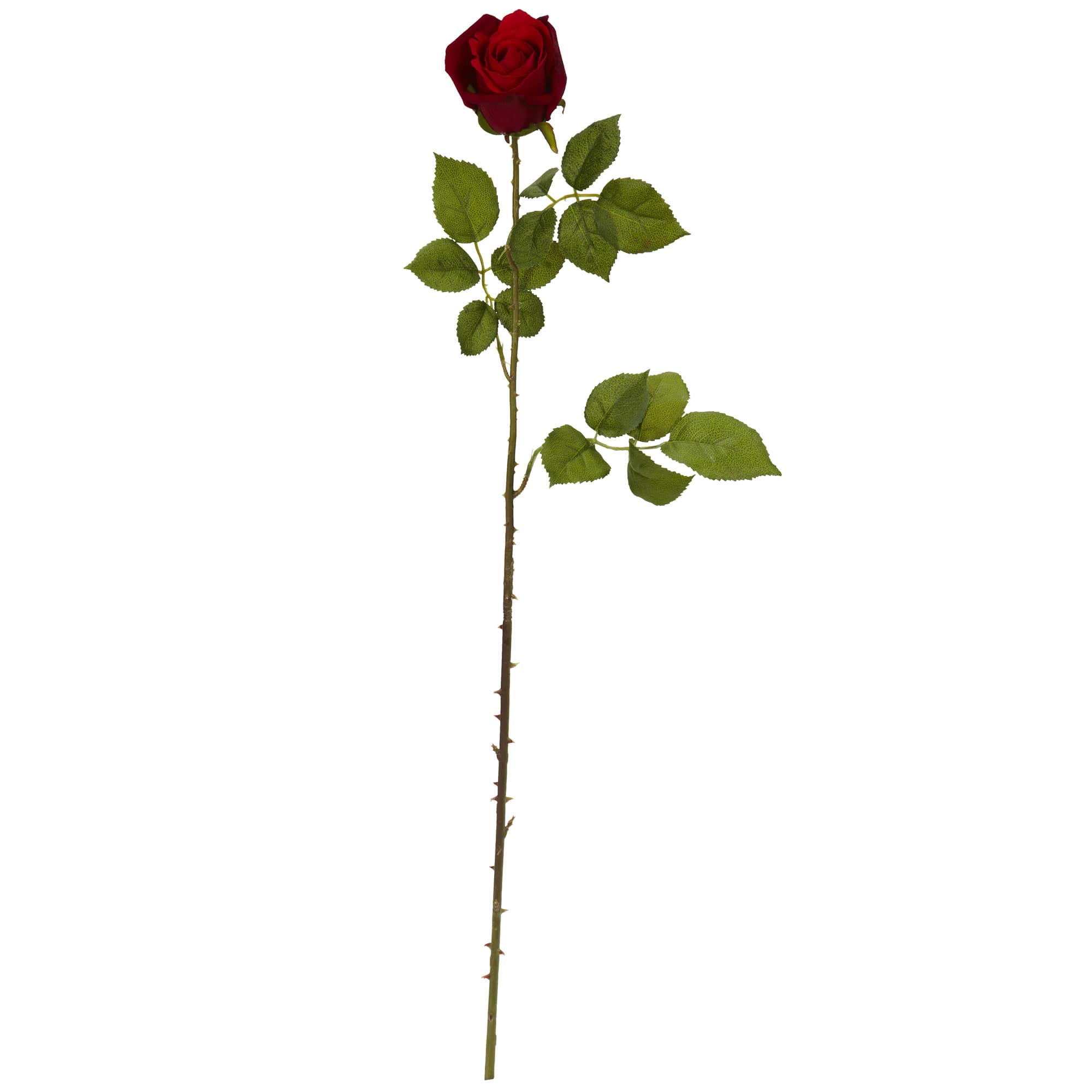 Elegant Red Rose Bud Stem, 6ct.