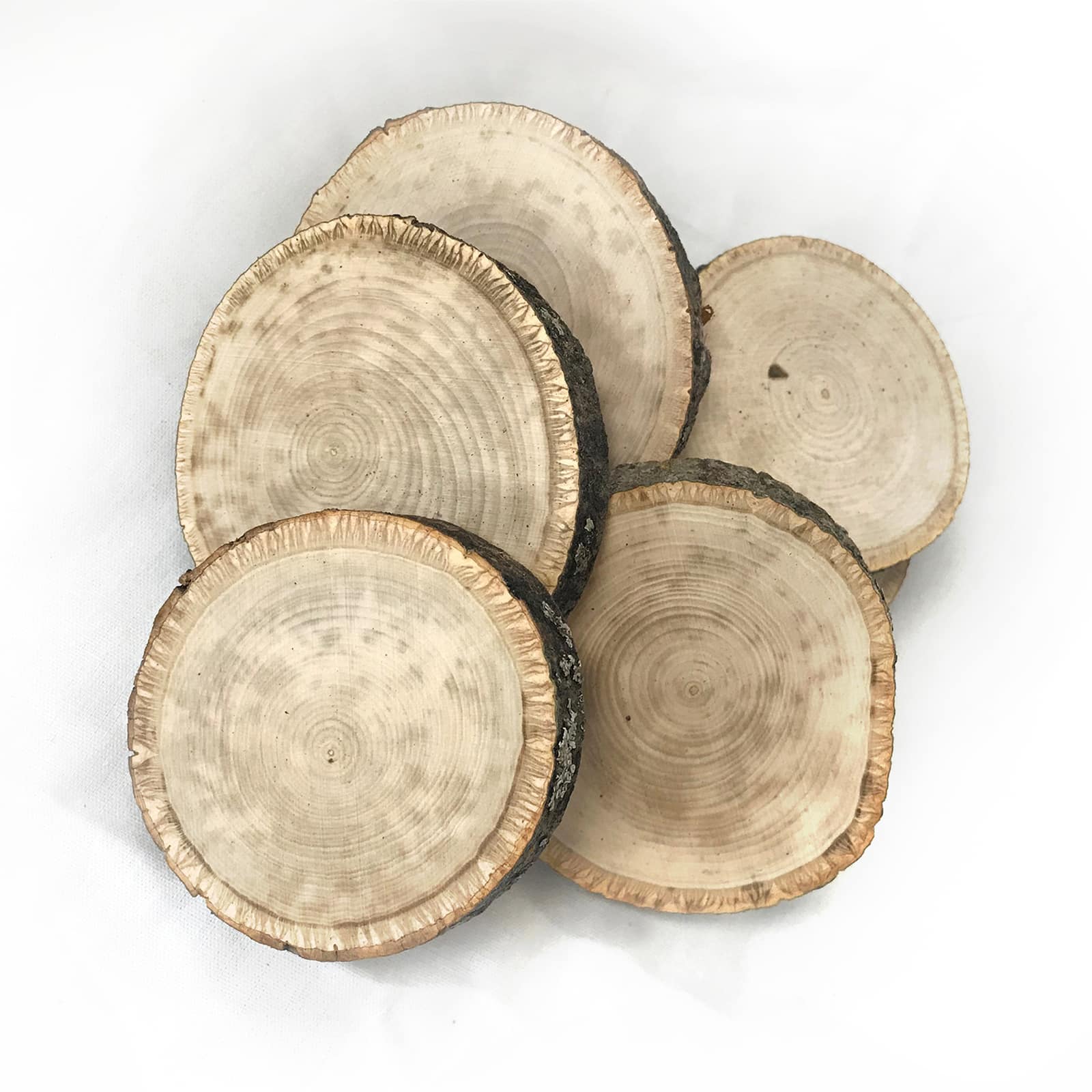 Wilson® Enterprises Small Basswood Ornament Seconds, 50ct.