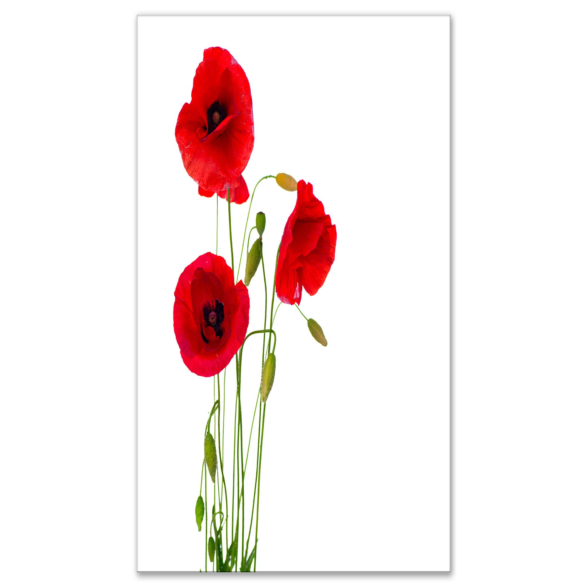 Designart - Isolated Red Poppy Flowers
