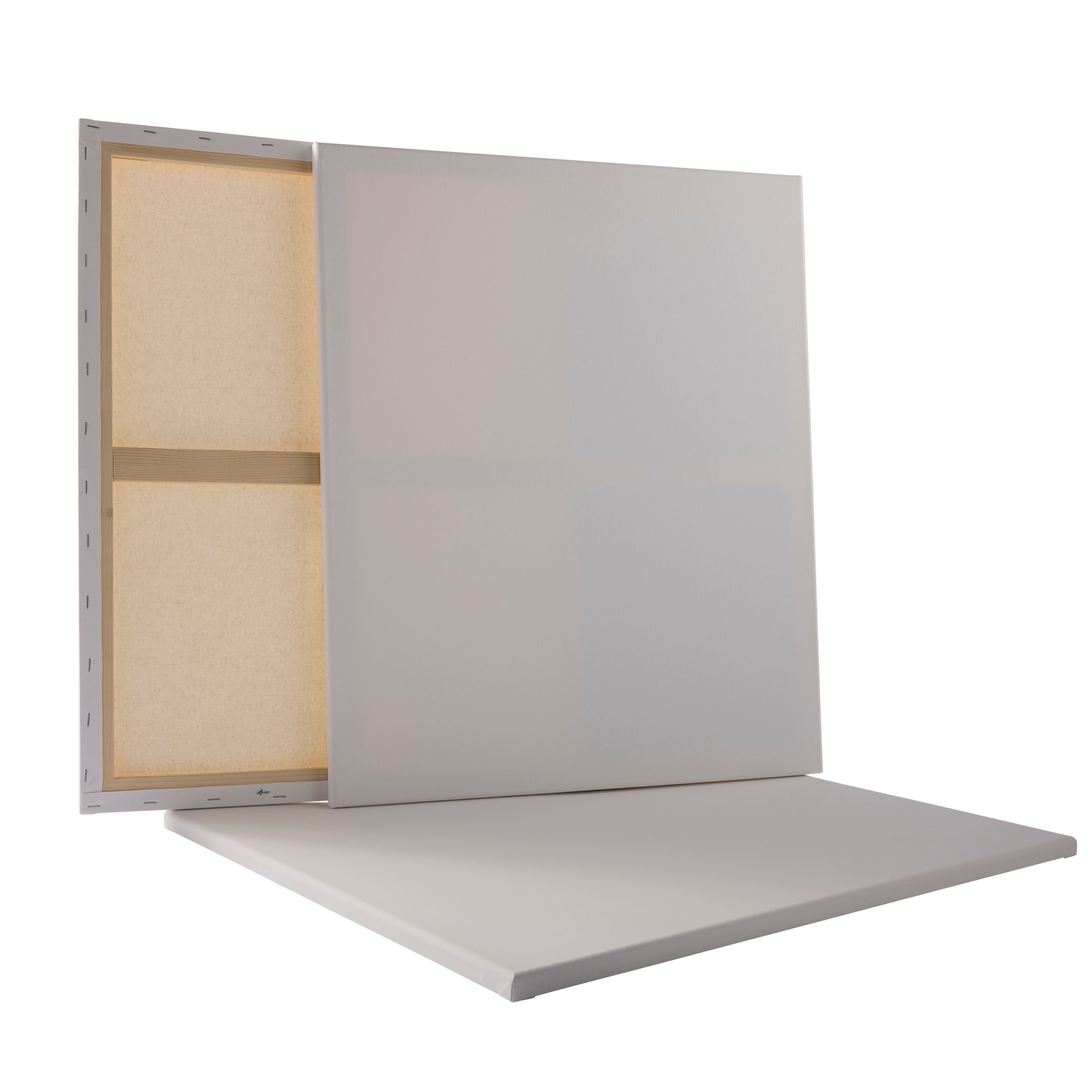 3 Pack 20" x 24" Super Value Canvas by Artist's Loft®