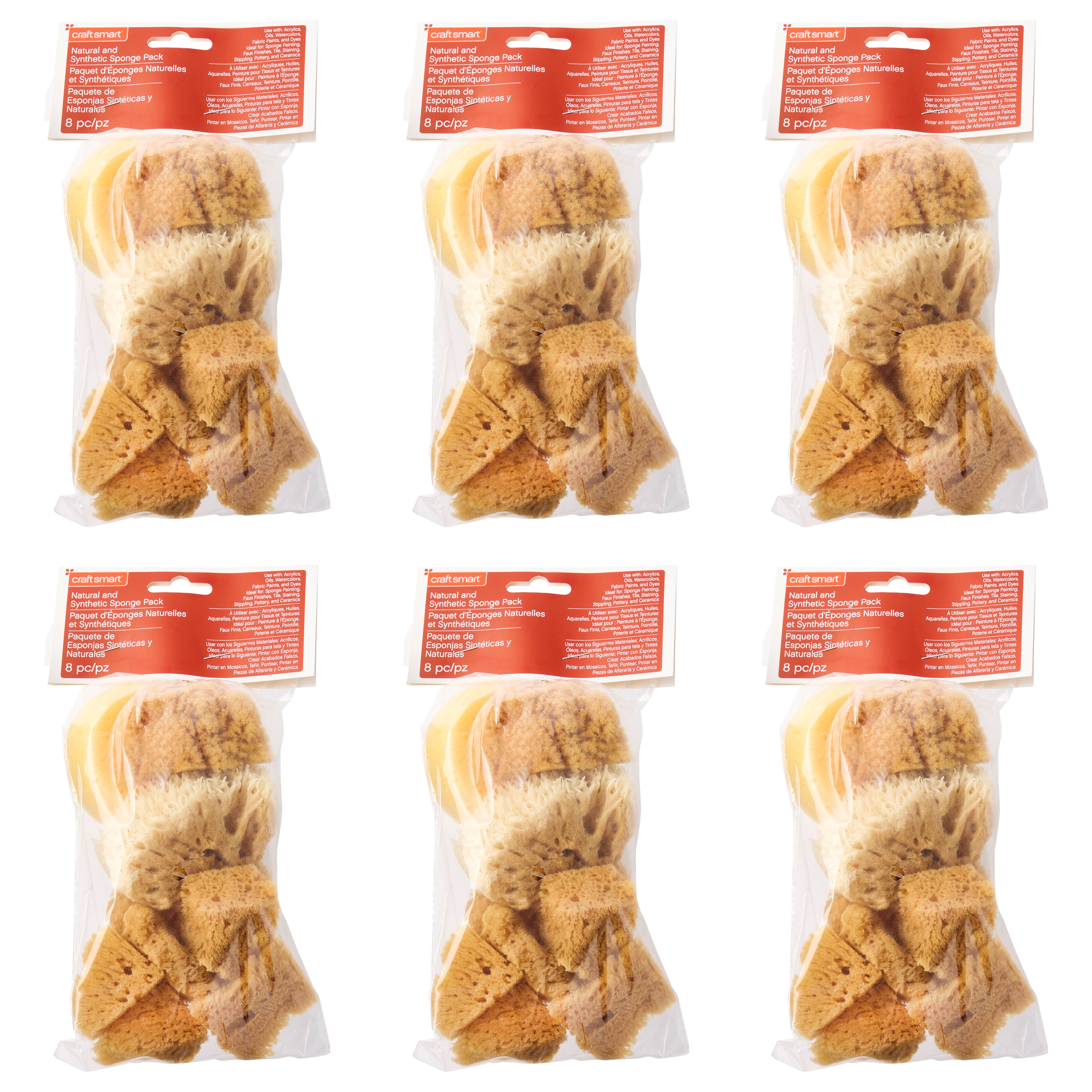 6 Pack: Variety Sponge Value Pack by Craft Smart®