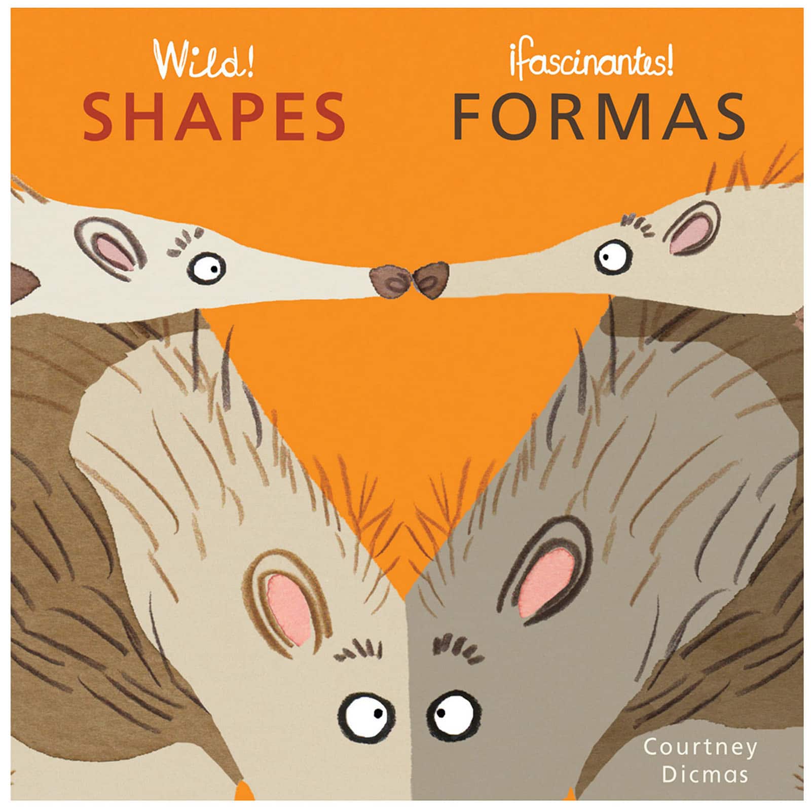 Child's Play Wild! Concepts Bilingual Board Books, Set of 4