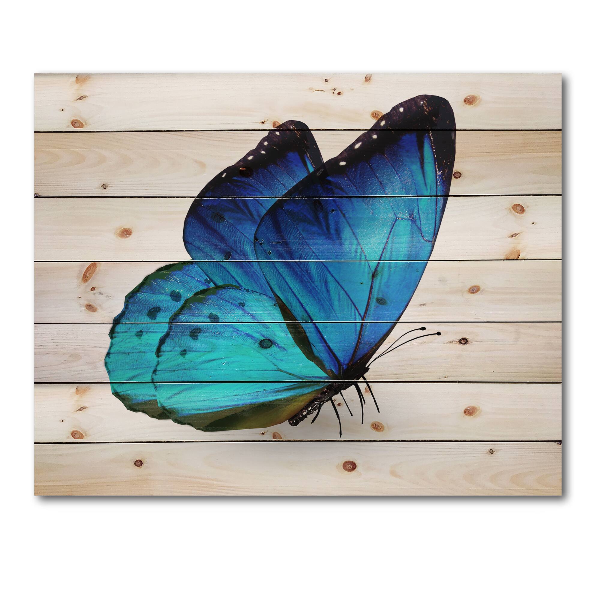 Designart - Vibrant Blue Butterfly - Modern Print on Natural Pine Wood