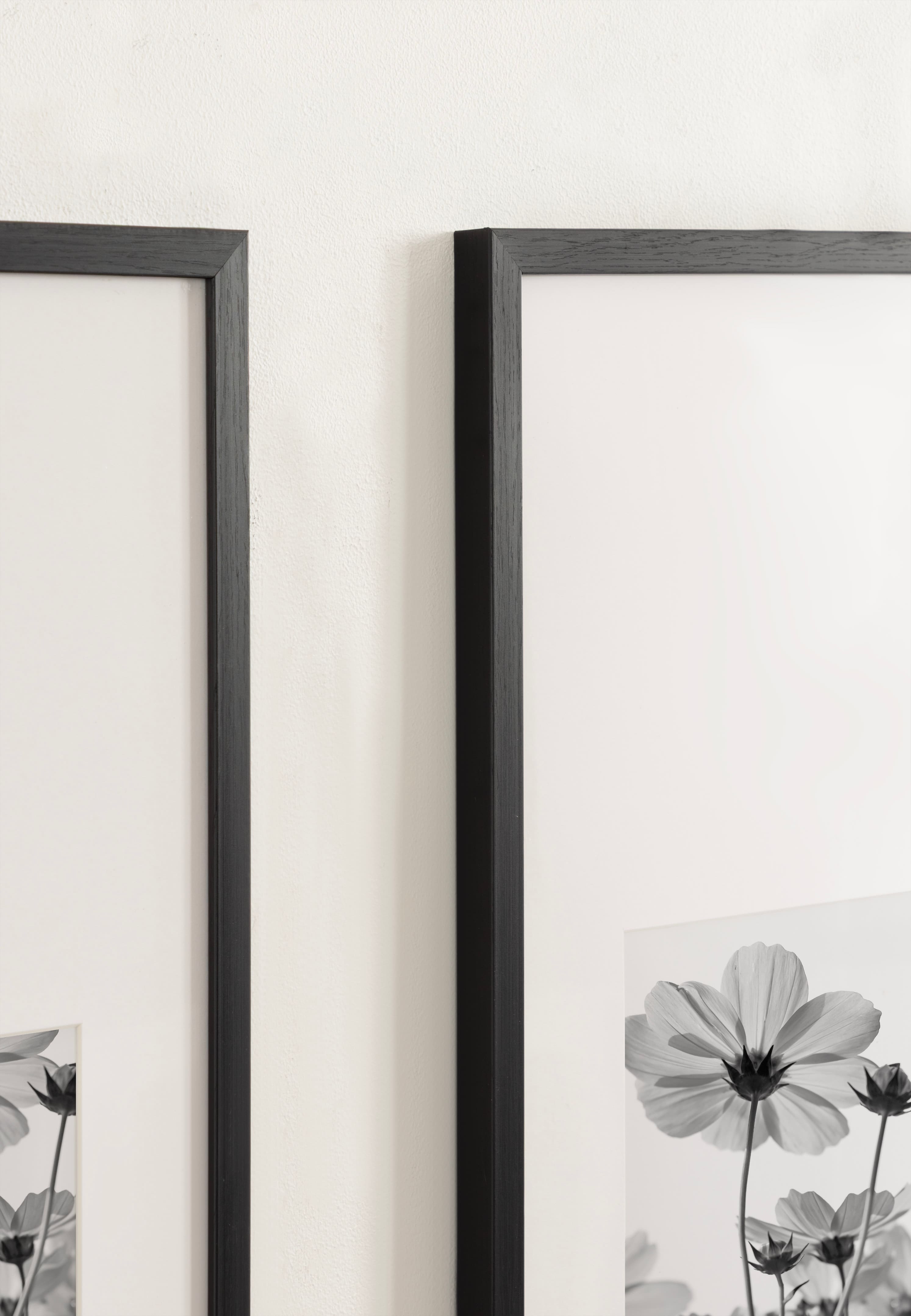 Kate and Laurel Gallery 14" x 30" Photo Frames 8" x 10" with Mat, 2ct.