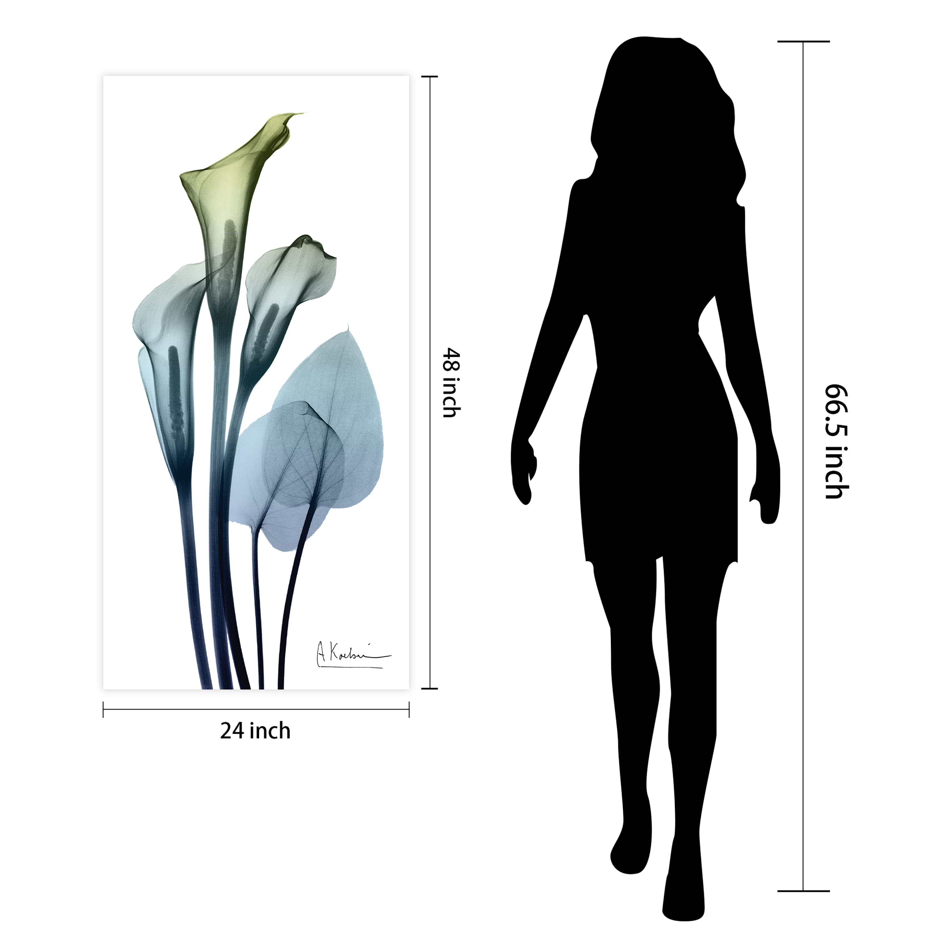 Empire Art Direct 24" x 48" Calla Lily Free Floating Tempered Glass Wall Art