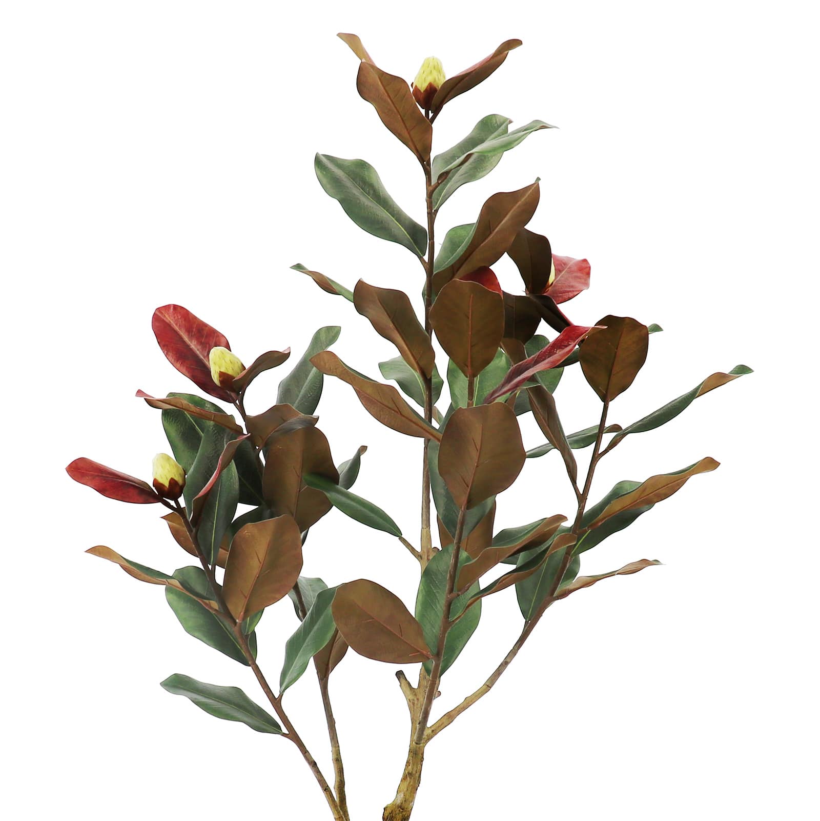 4.5ft. Premade Potted Green & Red Magnolia Tree by Ashland®
