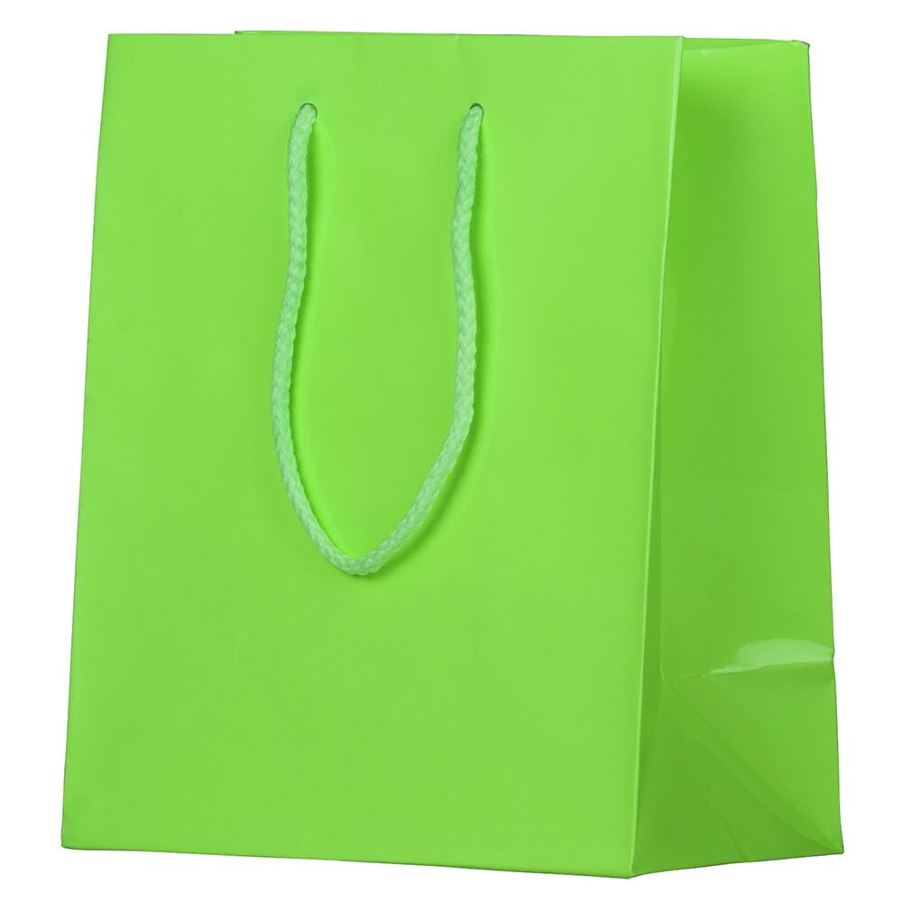 JAM Paper Medium Glossy Gift Bags