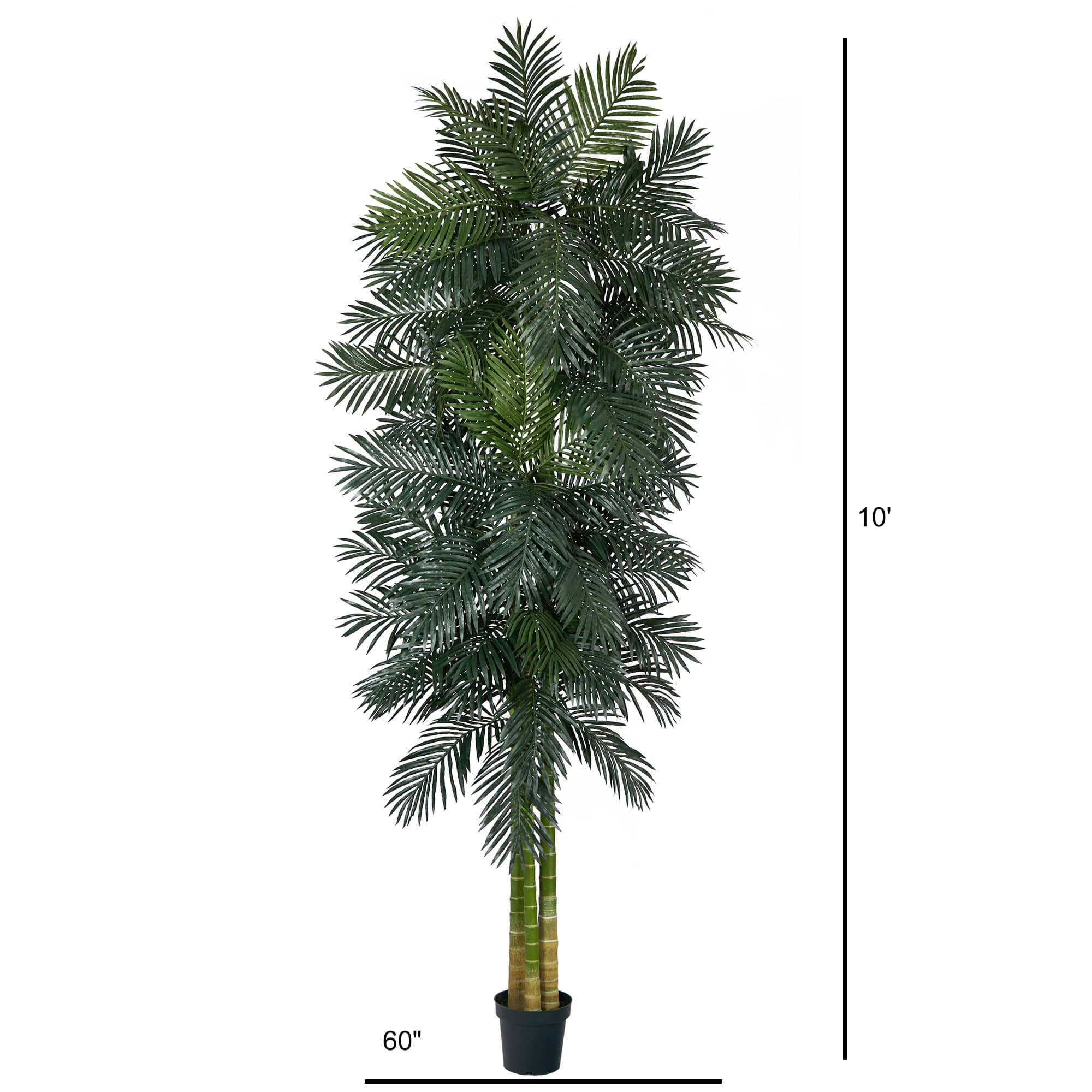 10ft. Potted Triple Stalk Golden Cane Palm Tree