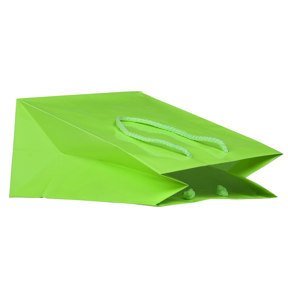 JAM Paper Medium Glossy Gift Bags