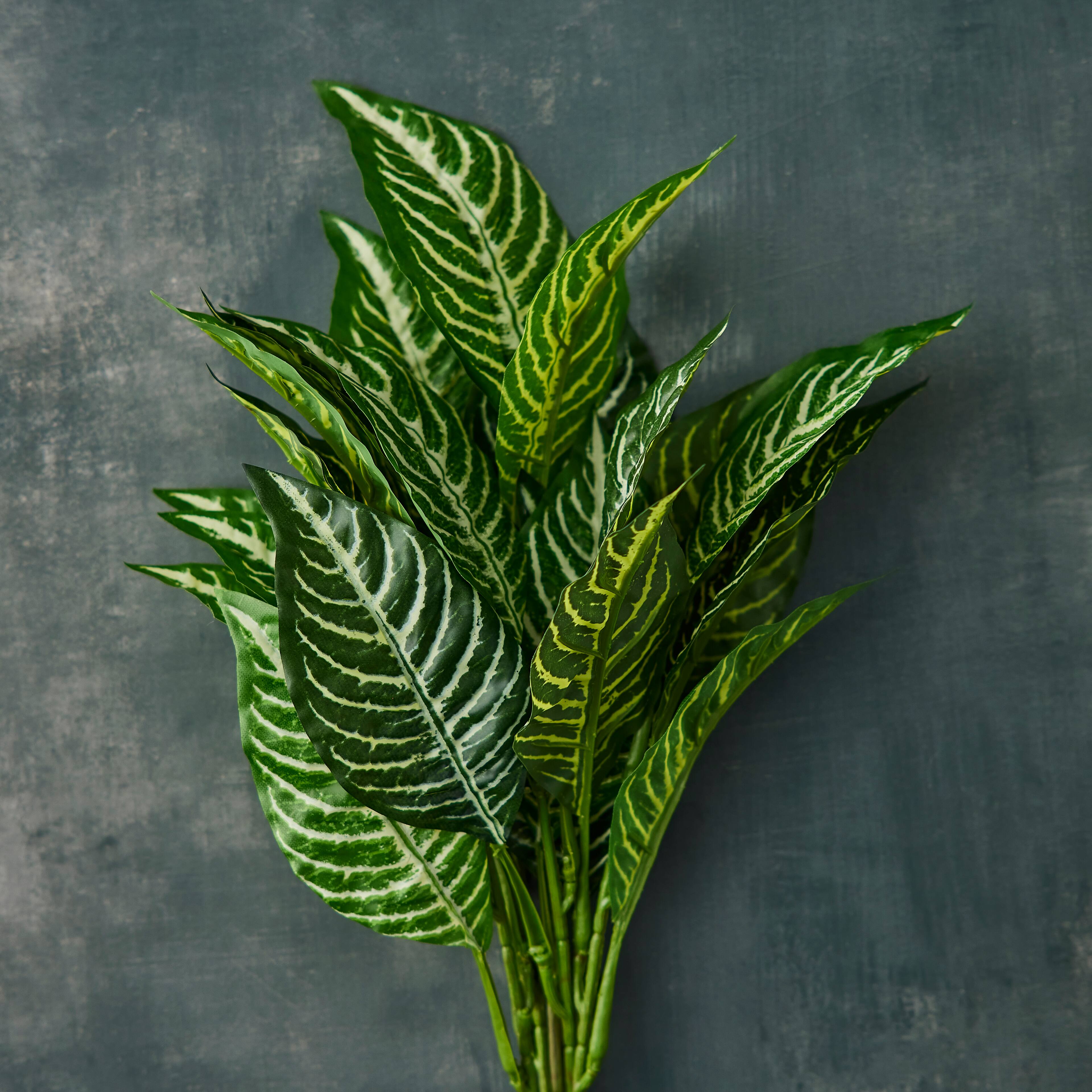 Zebra Bush Classic Greenery by Ashland®