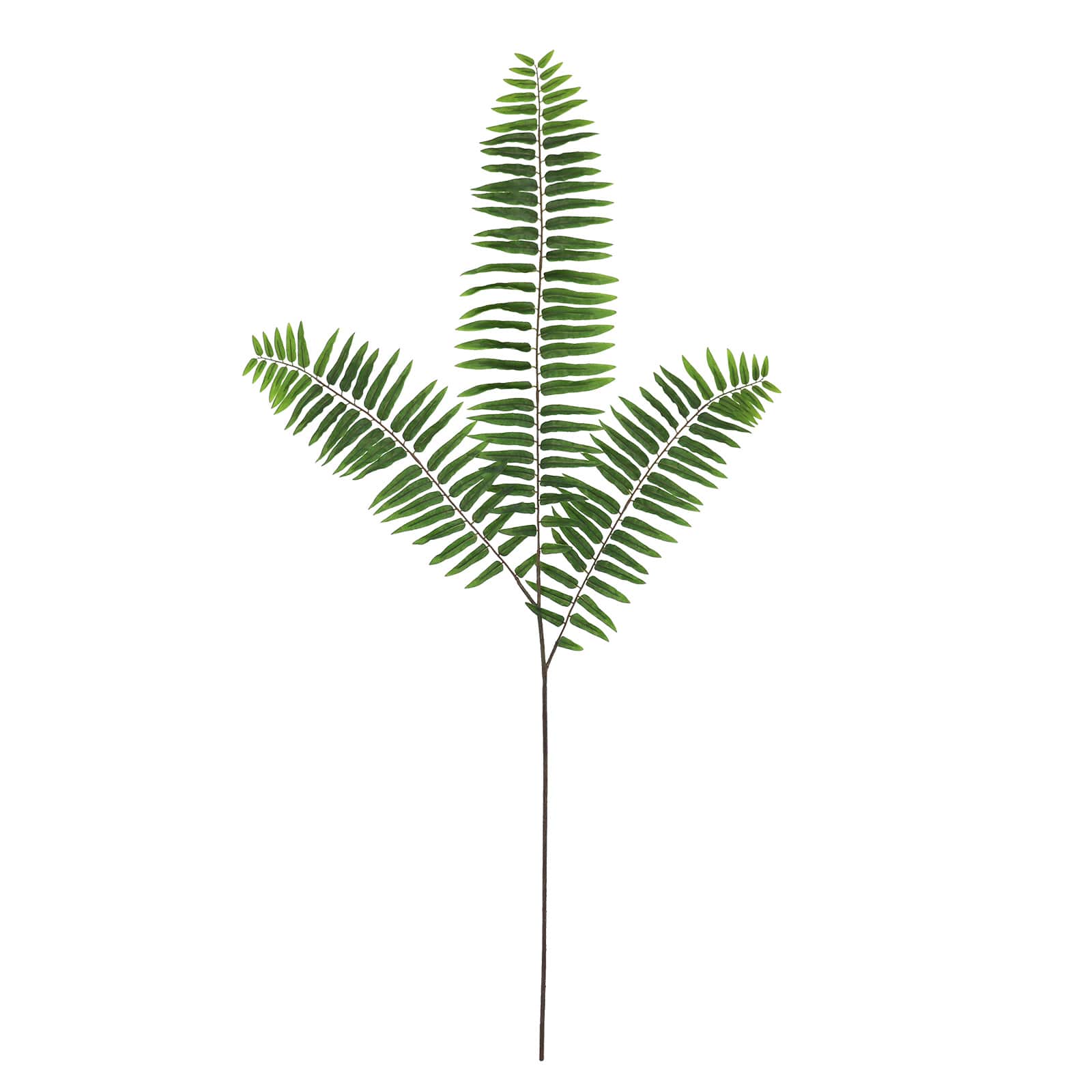 70" Oversized Fern Leaf Stem by Ashland®