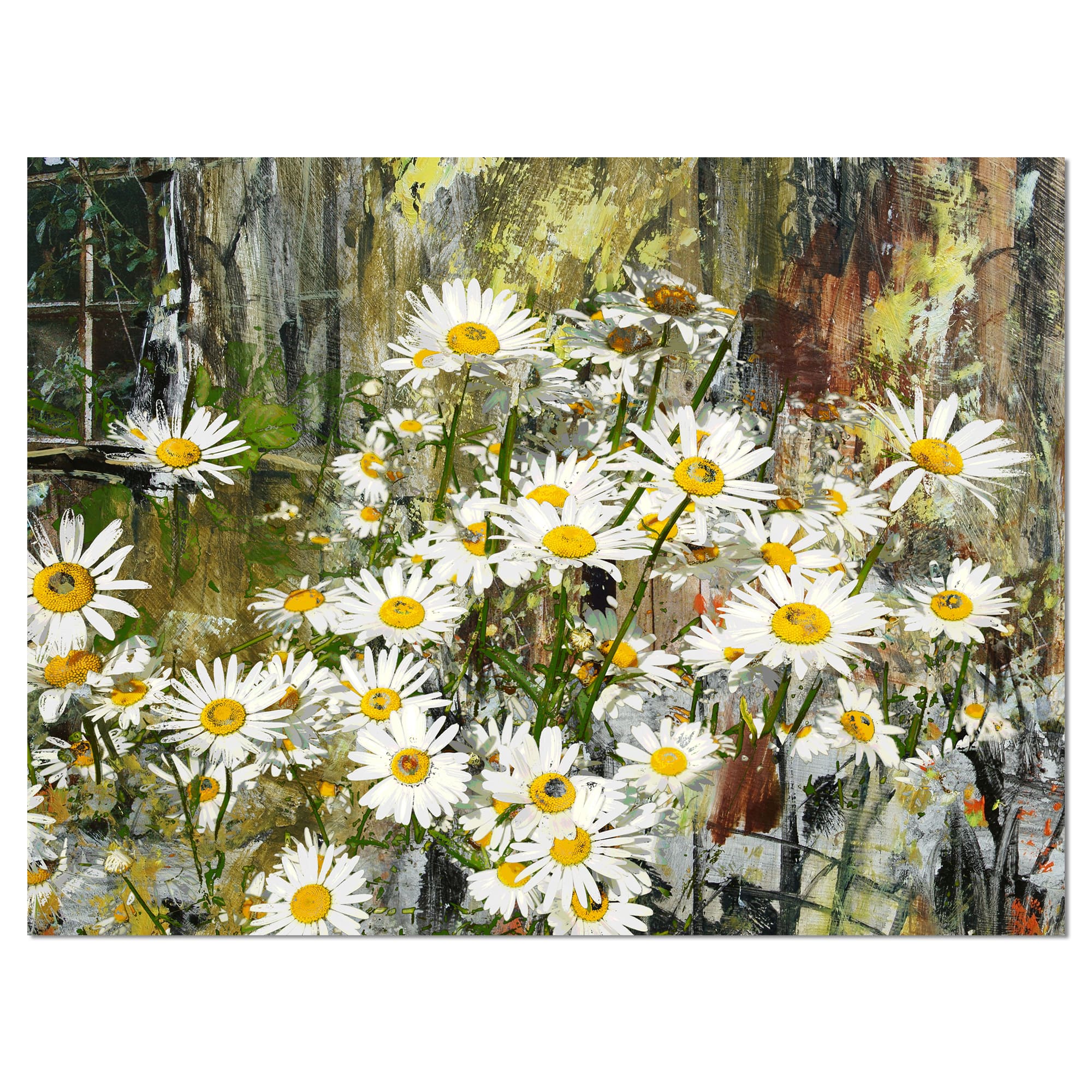Designart - Daisies Flowers Under the Window - Floral Art Canvas Print