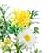 18" Mini Daisy Bush by Ashland®