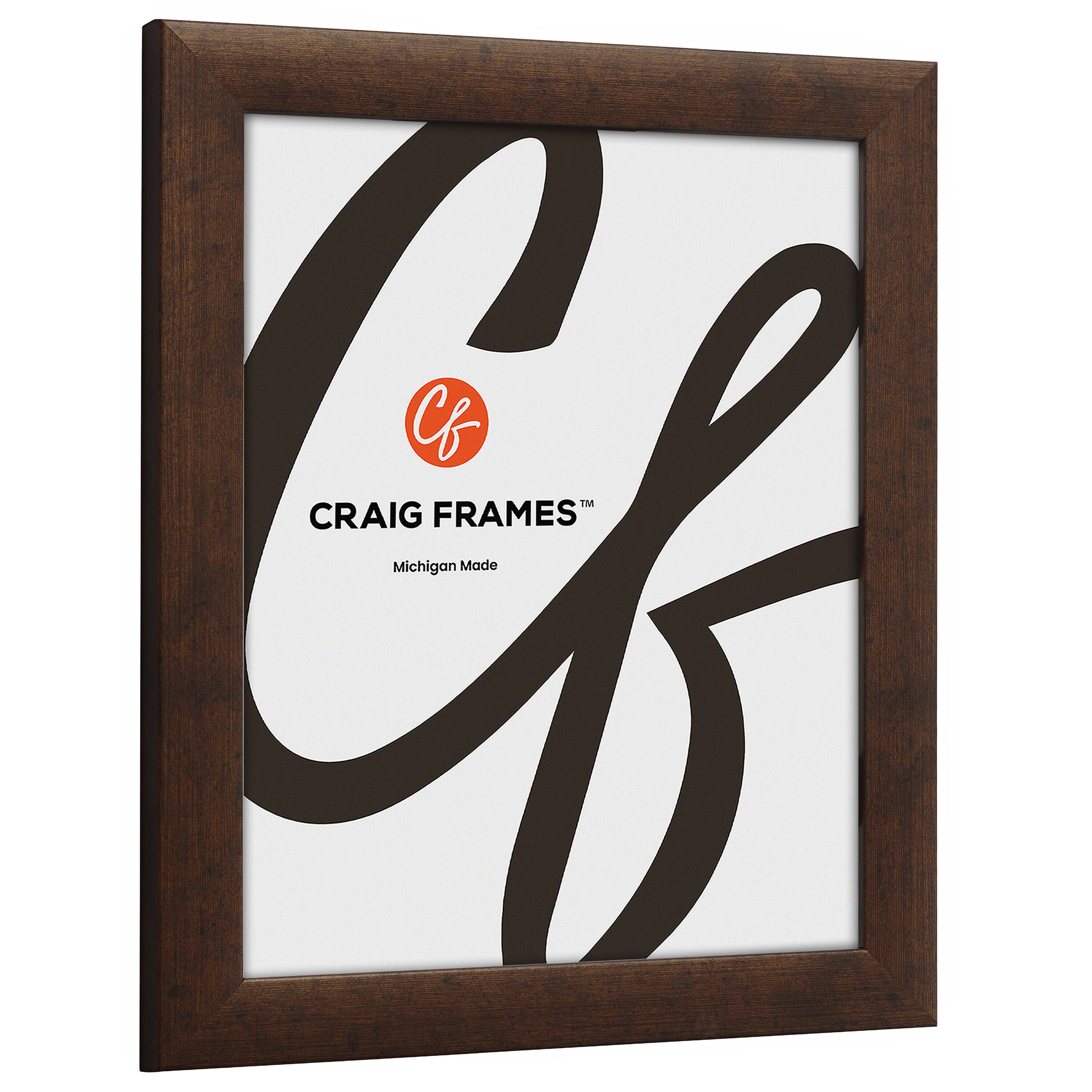 2 Pack Craig Frames Contemporary Rustic Copper Picture Frame