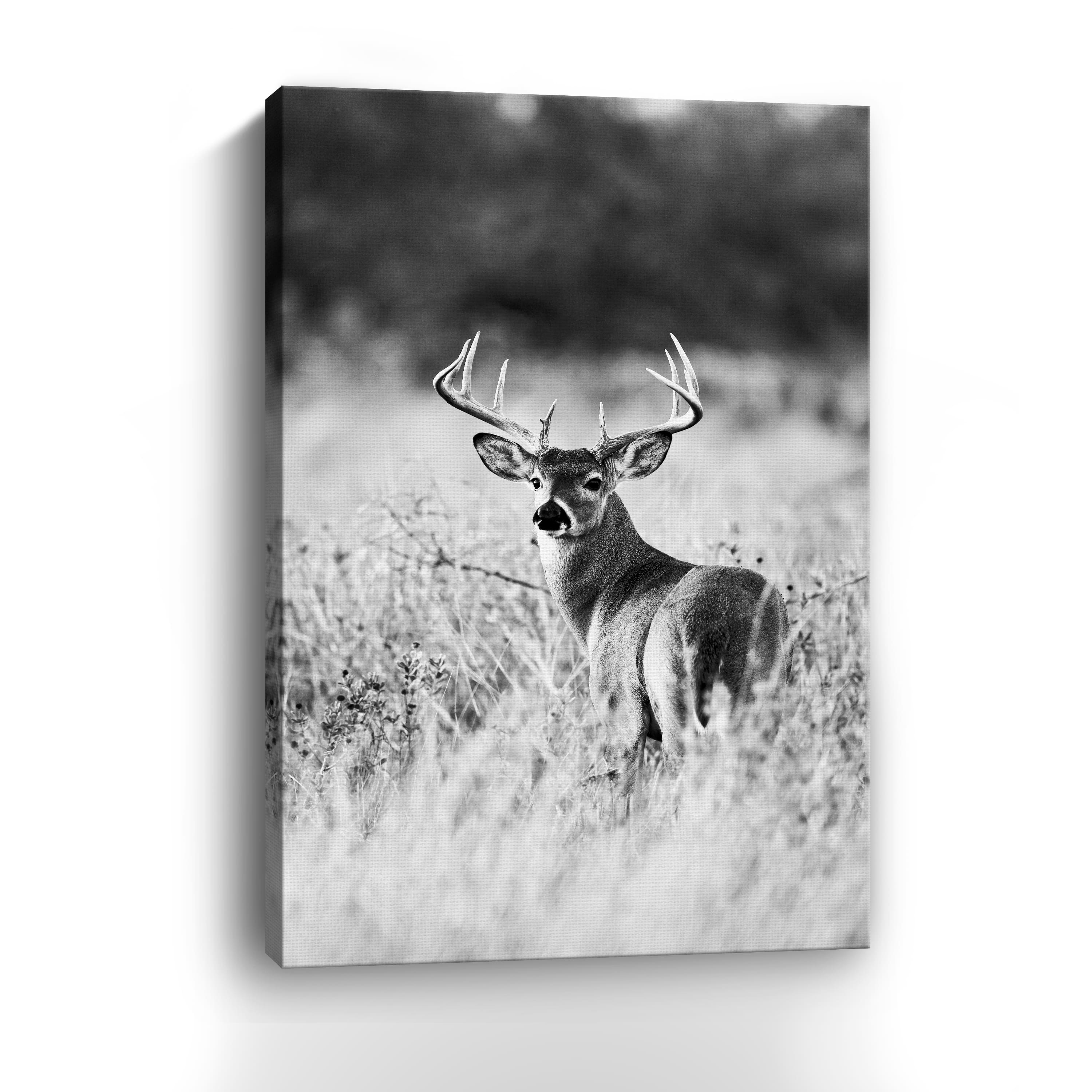 Grasslands Canvas Giclee