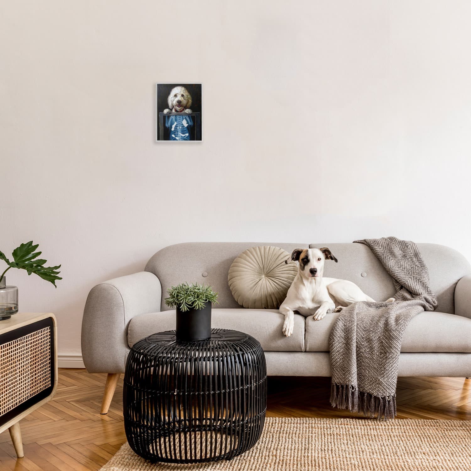 Stupell Industries Funny Dog X-Ray Snacks Framed Giclee Art