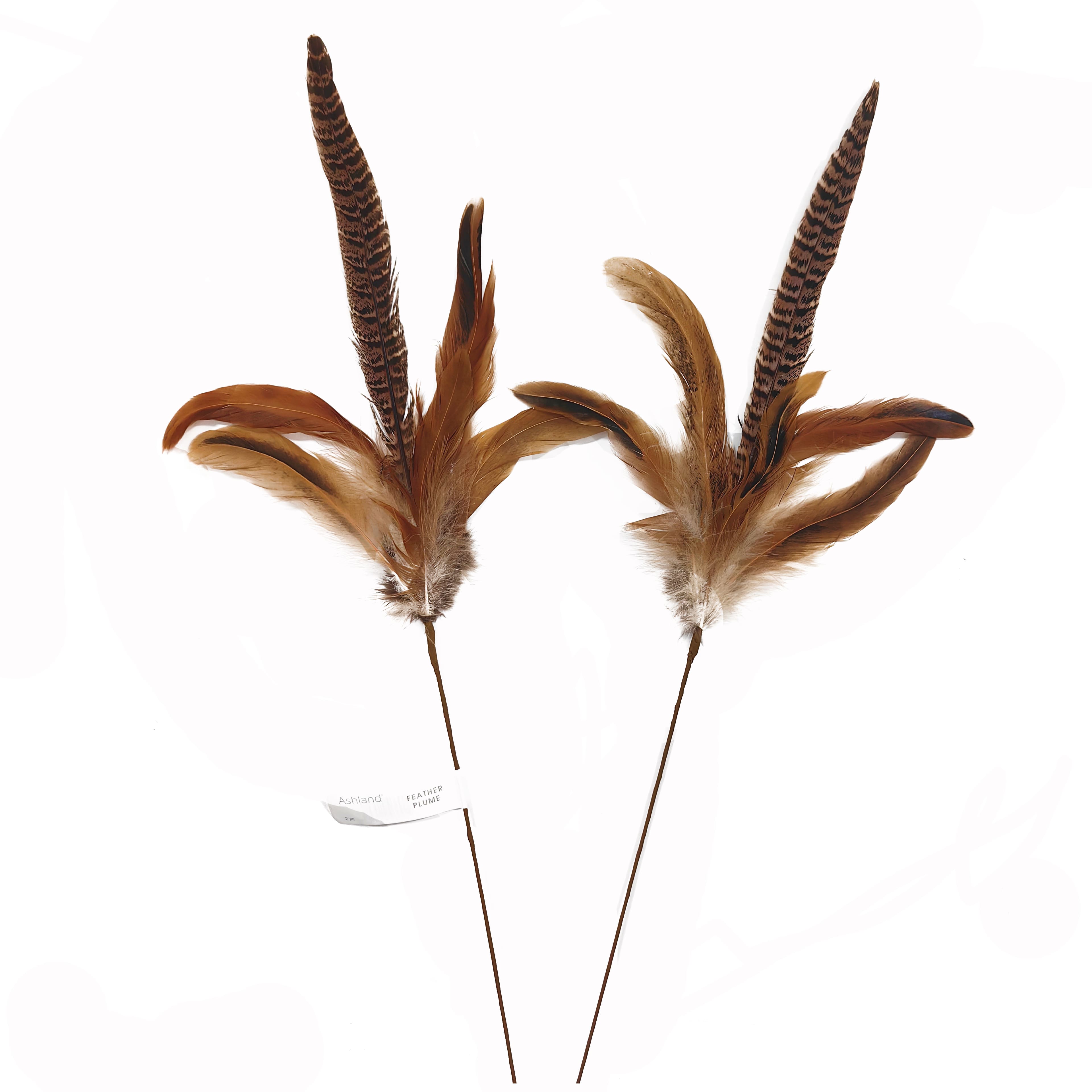 12 Pack: 2ct. (24 total) 23" Feather Picks by Ashland®