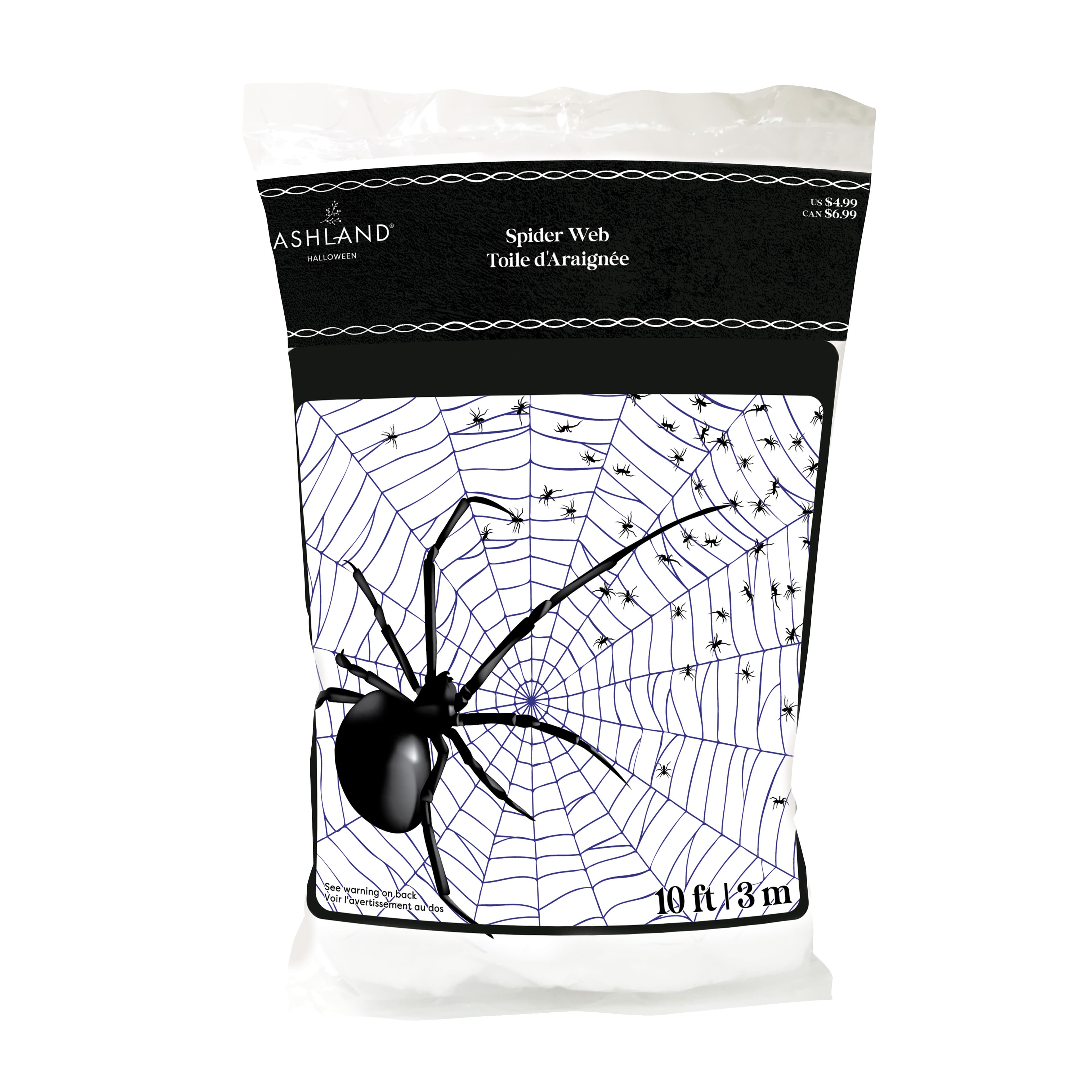 10ft. White Spider Web by Ashland®