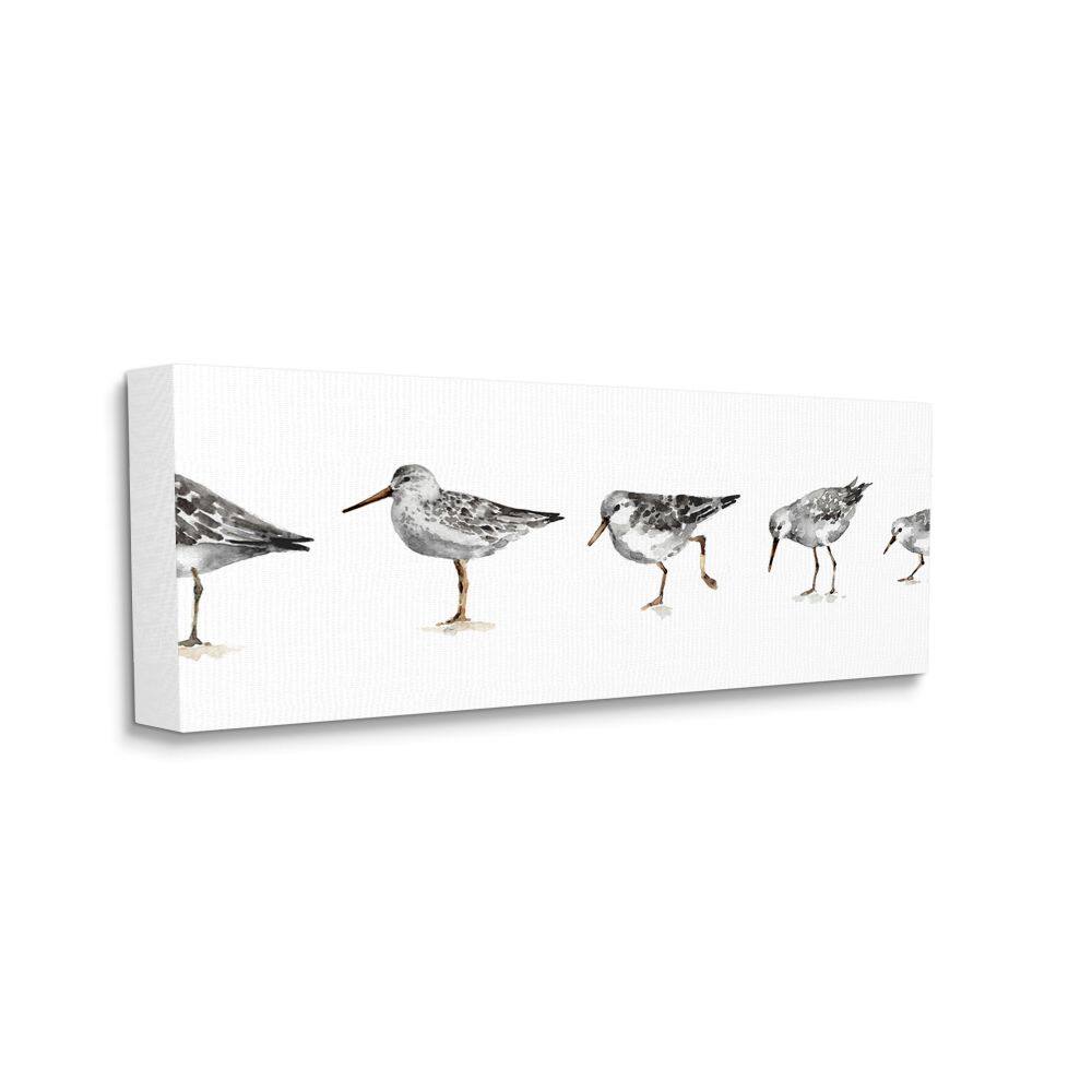 Stupell Industries Sandpiper Bird Stances Minimal Grey White Painting Canvas Wall Art
