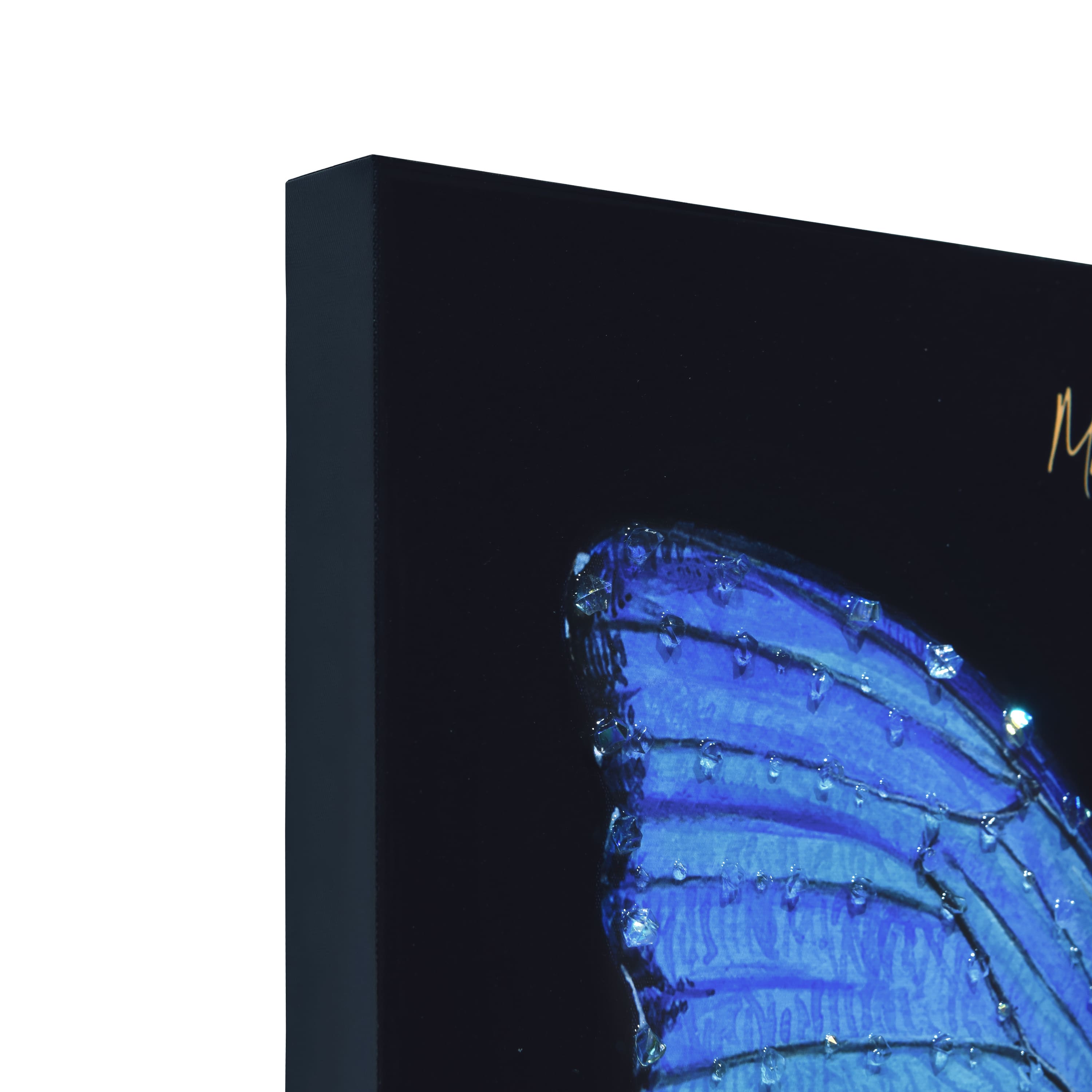 Empire Art Direct 24" x 24" Blue Monarch Elegance I Crystallus Gallery Epoxy Coated Wrapped Canvas Wall Art