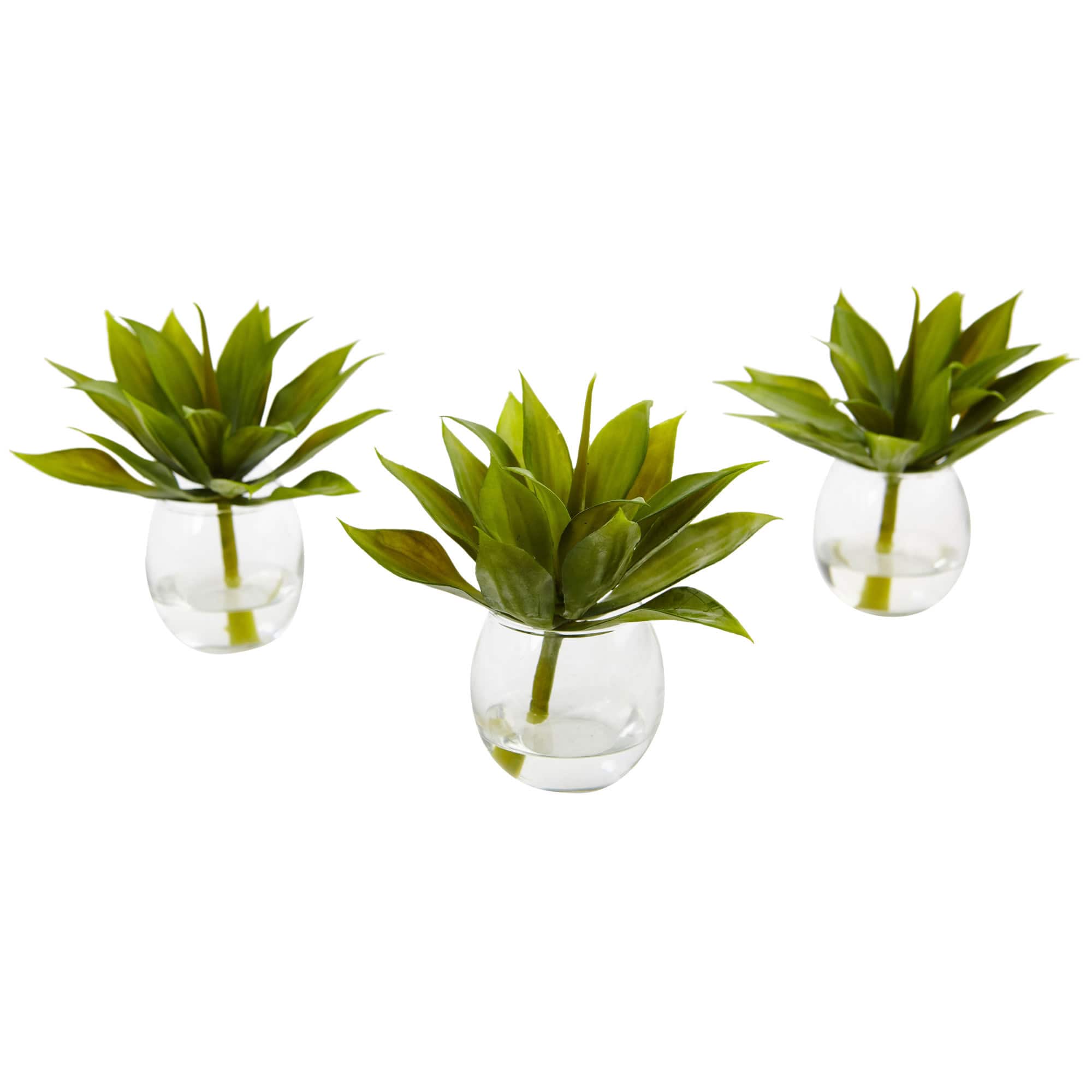 5.75" Mini Agave Succulent in Glass Vase, 3ct.