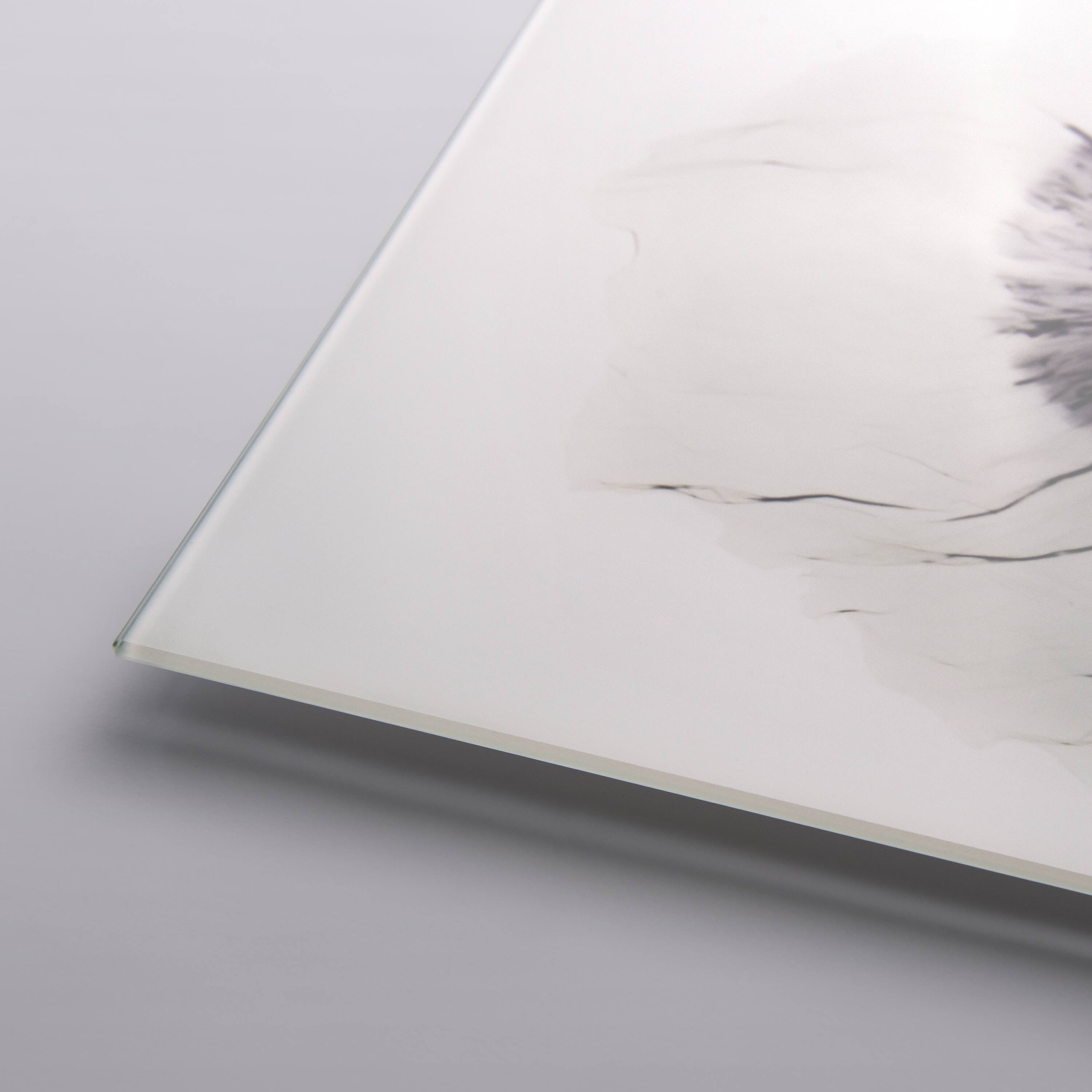 Empire Art Direct 24" x 48" Floral Landscape Frameless Free Floating Printed Tempered Glass Wall Art