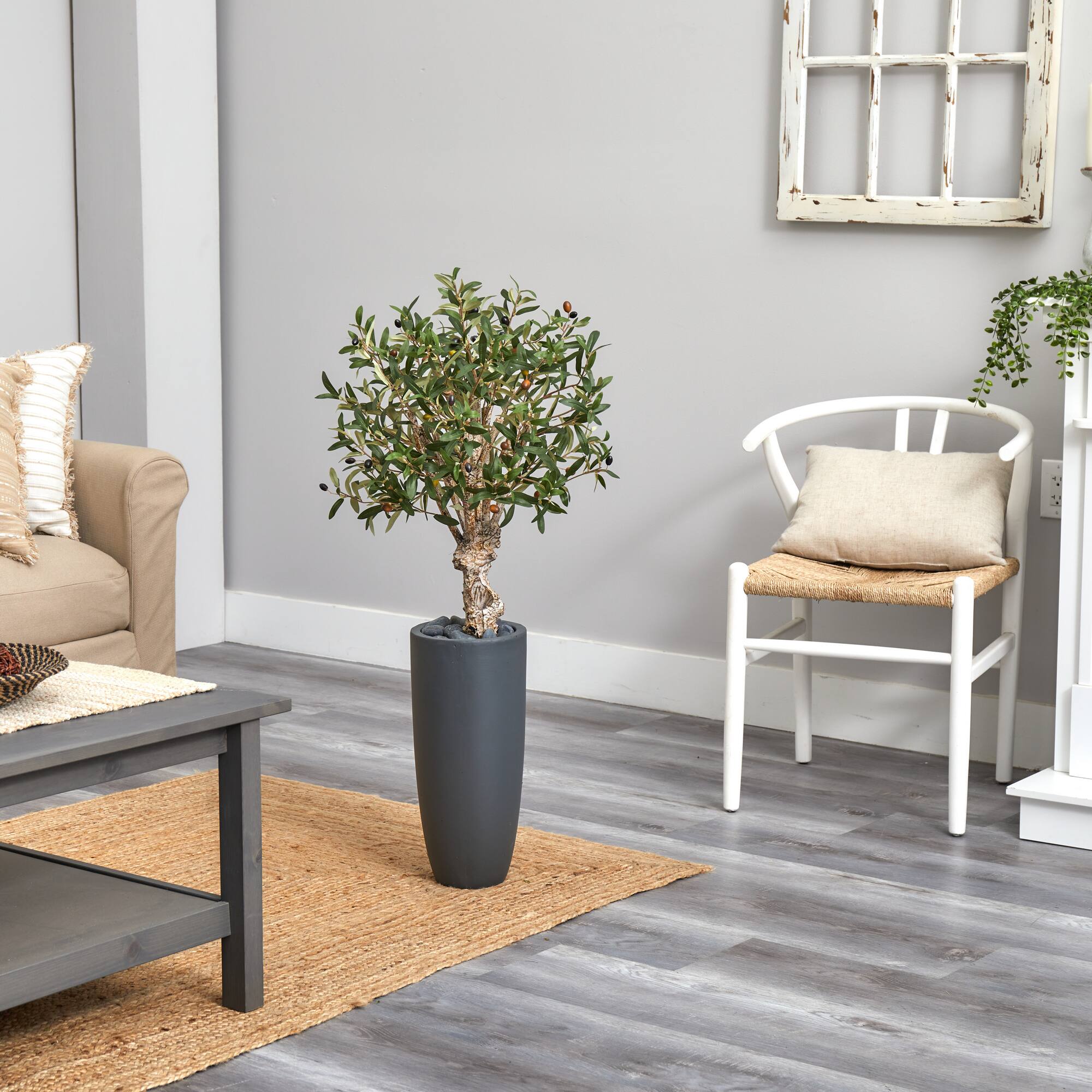 3.5ft. Olive Tree in Gray Cylinder Planter