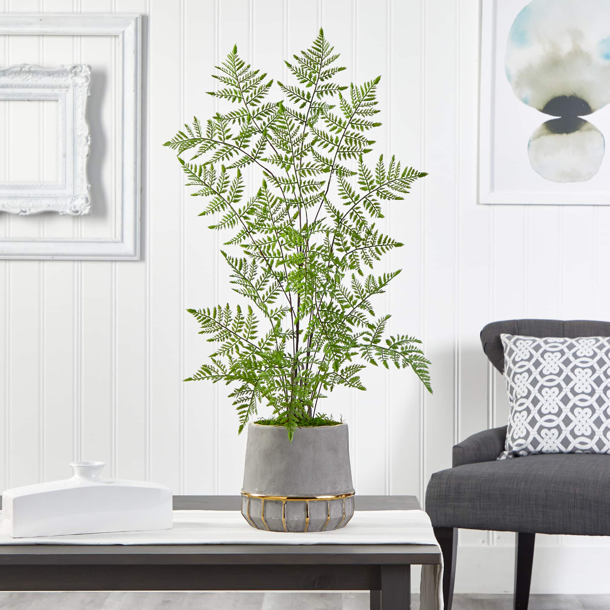 3ft. Ruffle Fern Tree in Gold Trimmed Stoneware Planter