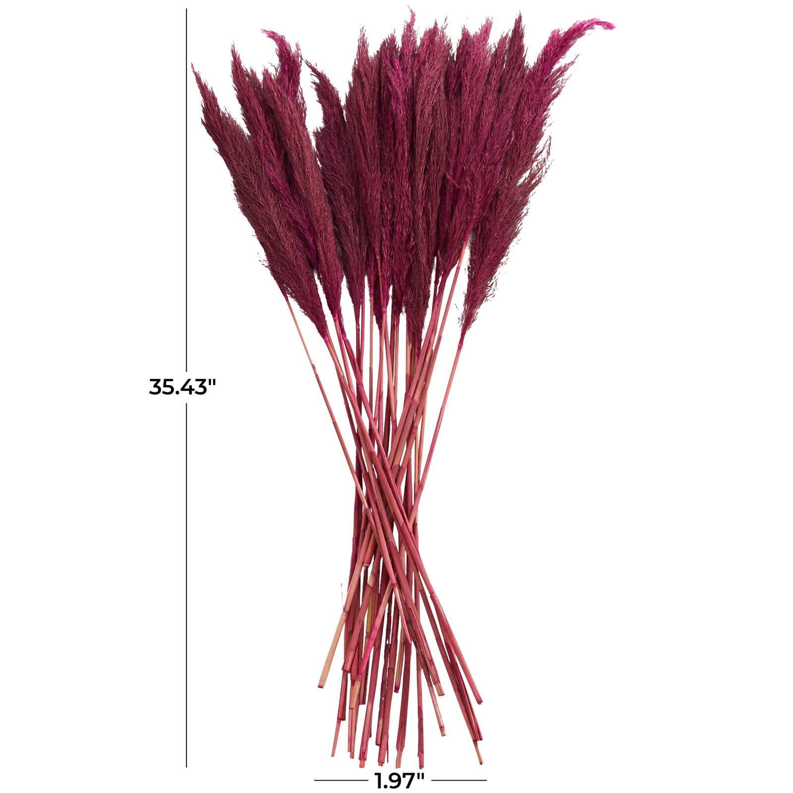 Dried Plant Bamboo Natural Foliage with Long Stems