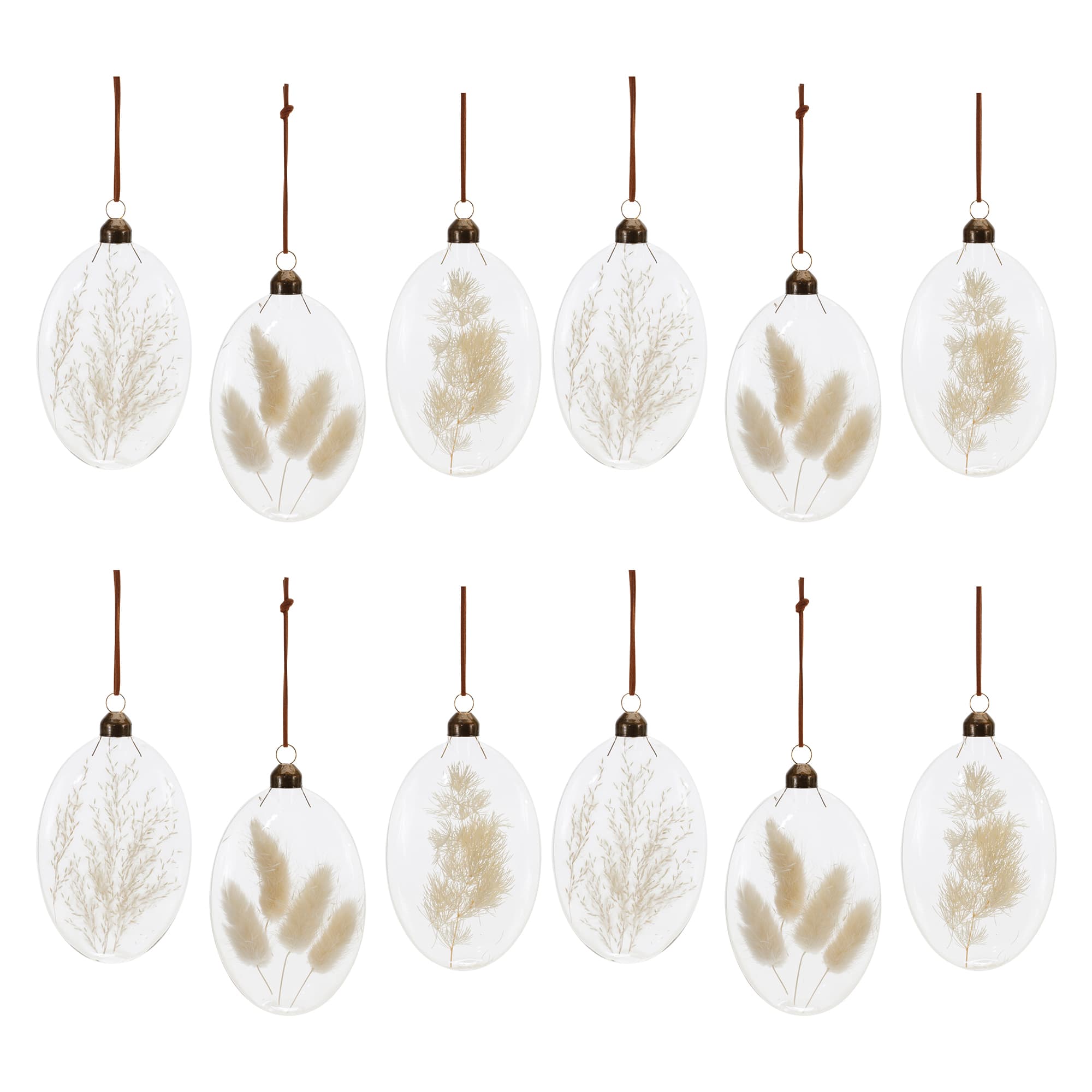 12 Pack 5.5" Natural Dried Floral Glass Ornaments
