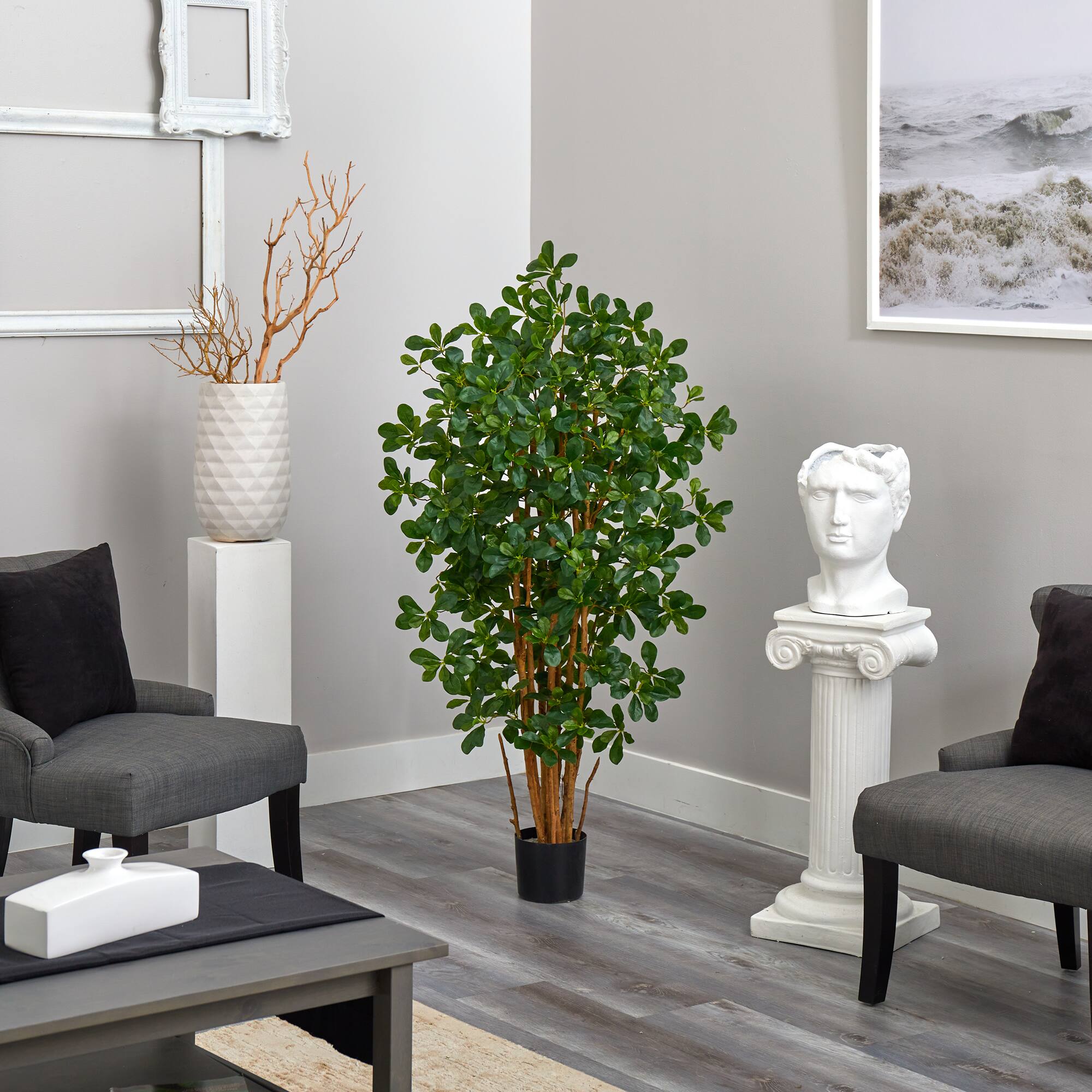 4.5ft. Potted Black Olive Tree