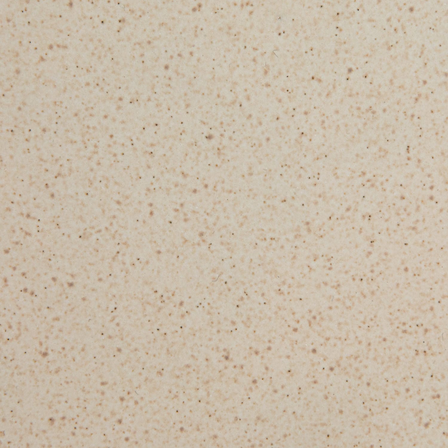 Hello Honey® 10.25" Cream Speckled Glaze Stoneware Plate, 2ct.