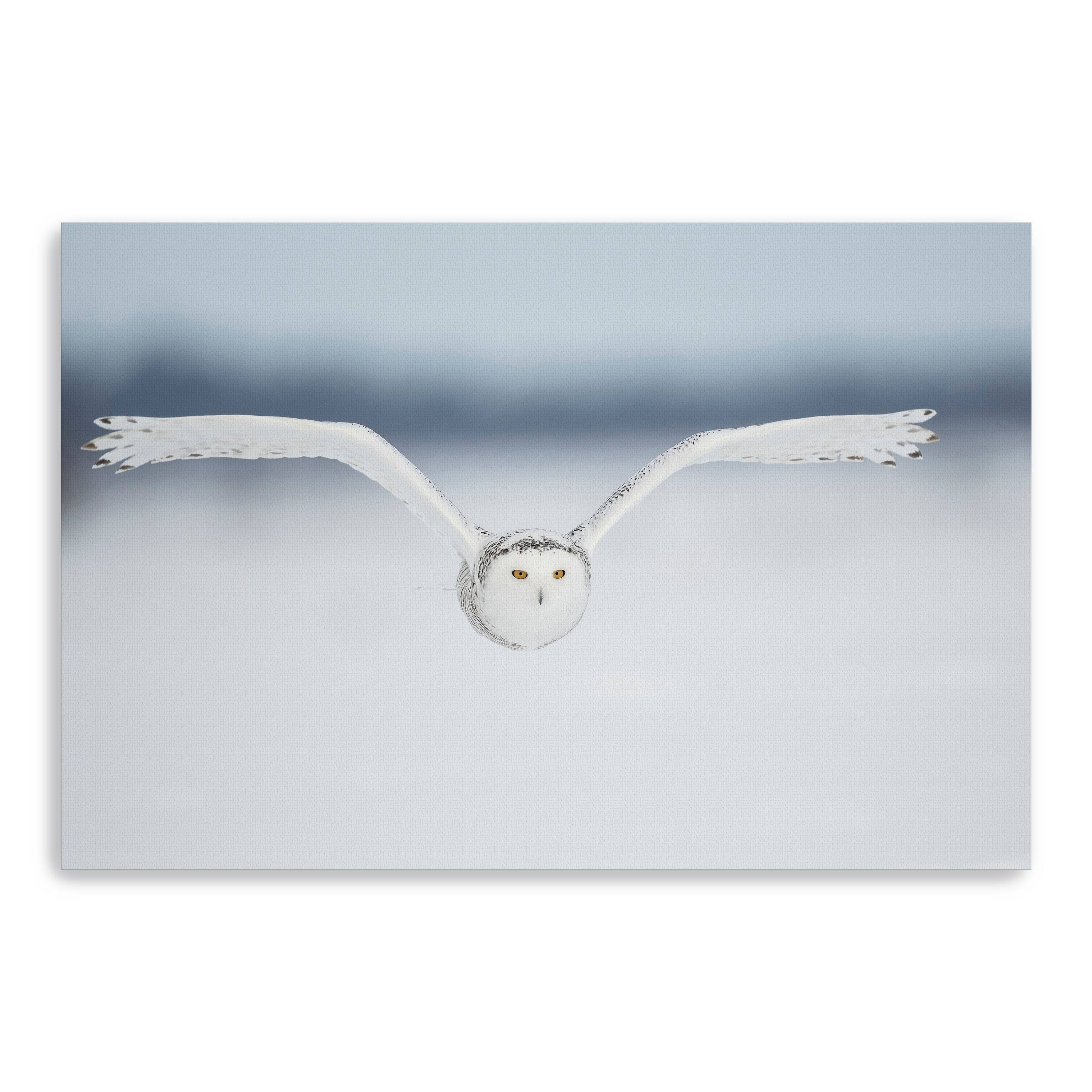 Pozzi - Close To The Lens Canvas Giclee