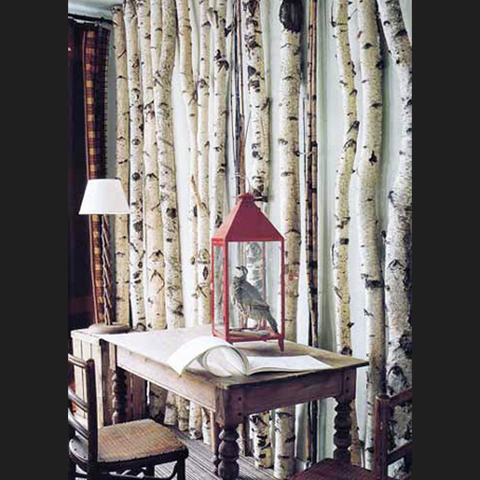 Wilson® Enterprises White Birch Poles