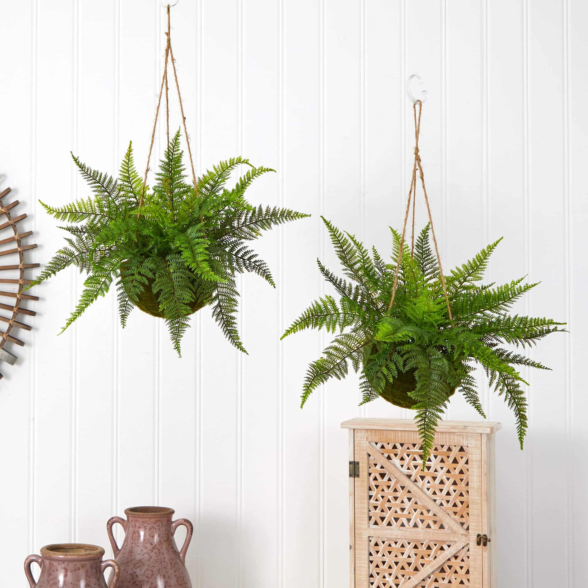 13'' Leather Fern in Mossy Hanging Basket, 2ct.