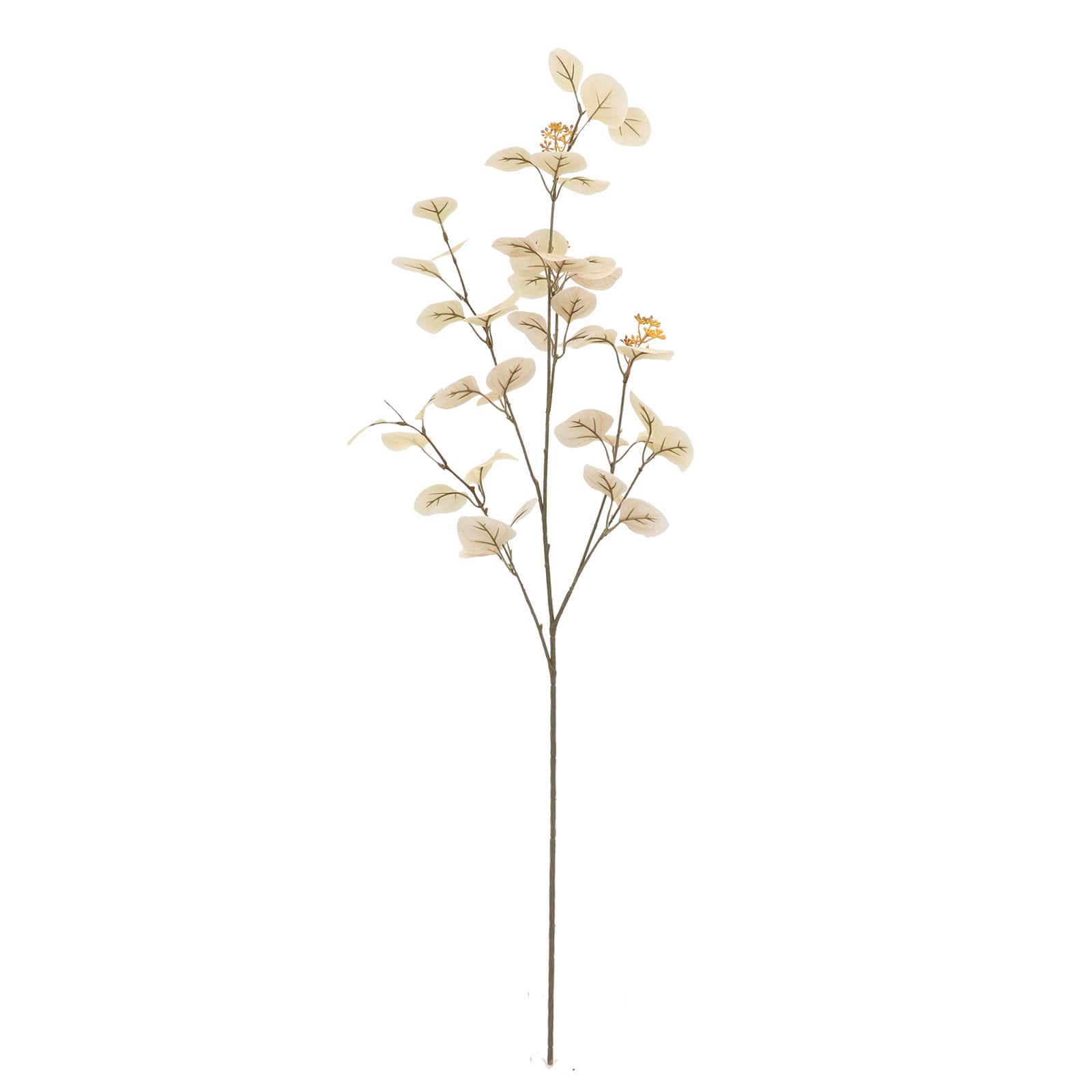 12 Pack: 41" Cream Seed Eucalyptus Stem by Ashland®