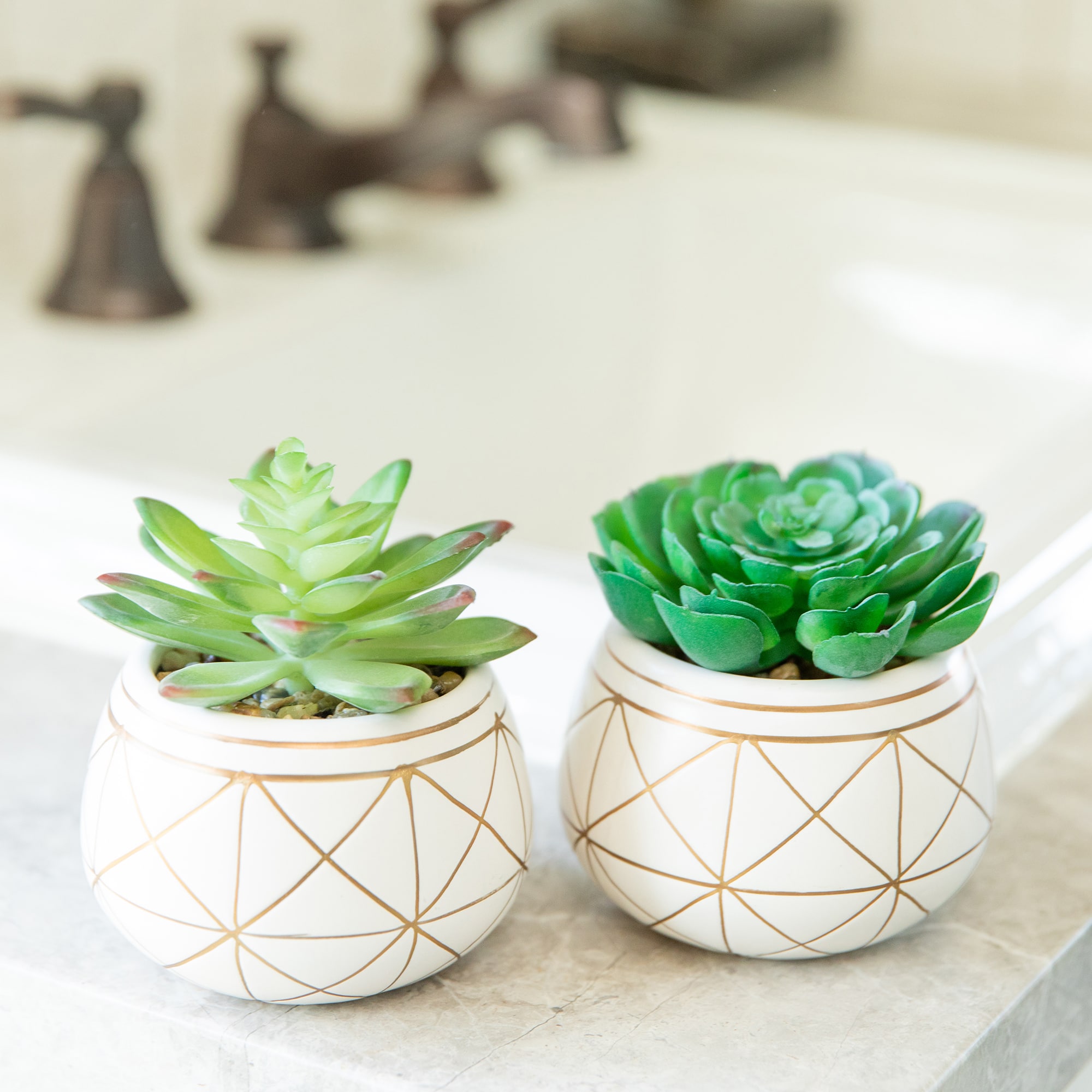 Flora Bunda® 4" Succulent in Geo Gold Round Ceramic Pot, 2ct.