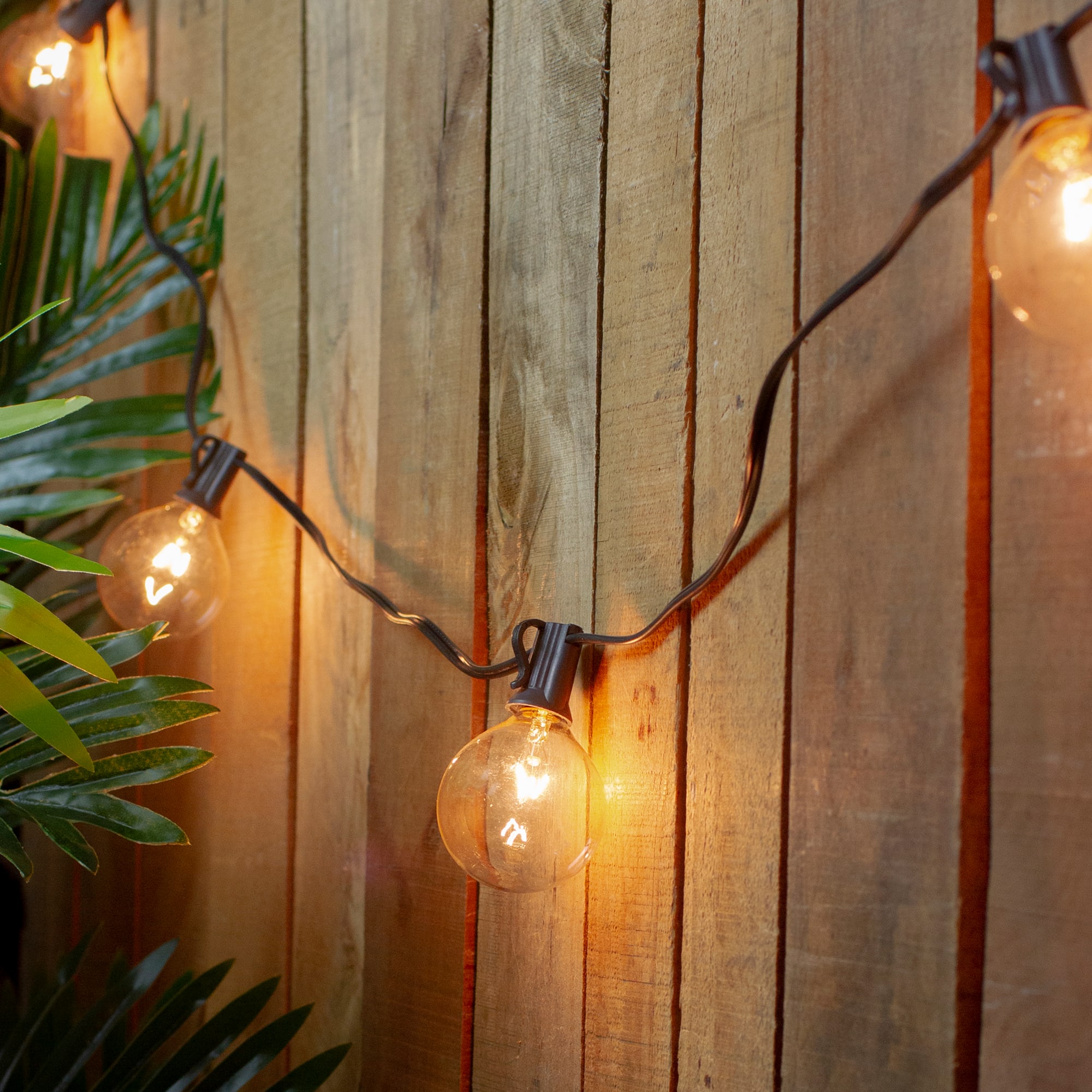 G50 Globe Christmas Light Set - Clear - 9' Black Wire -10ct