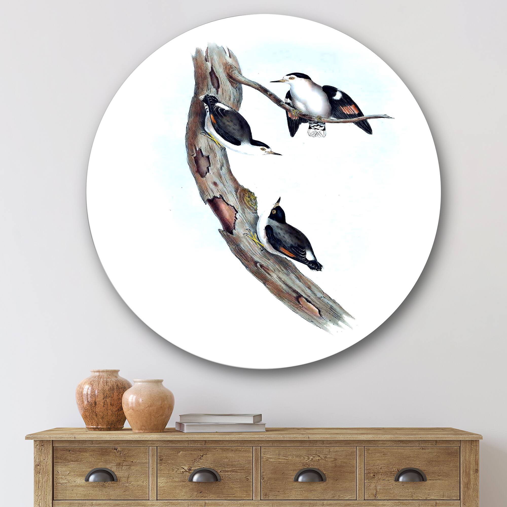 Designart - Vintage Australian Bird Illustrations I - Traditional Metal Circle Wall Art