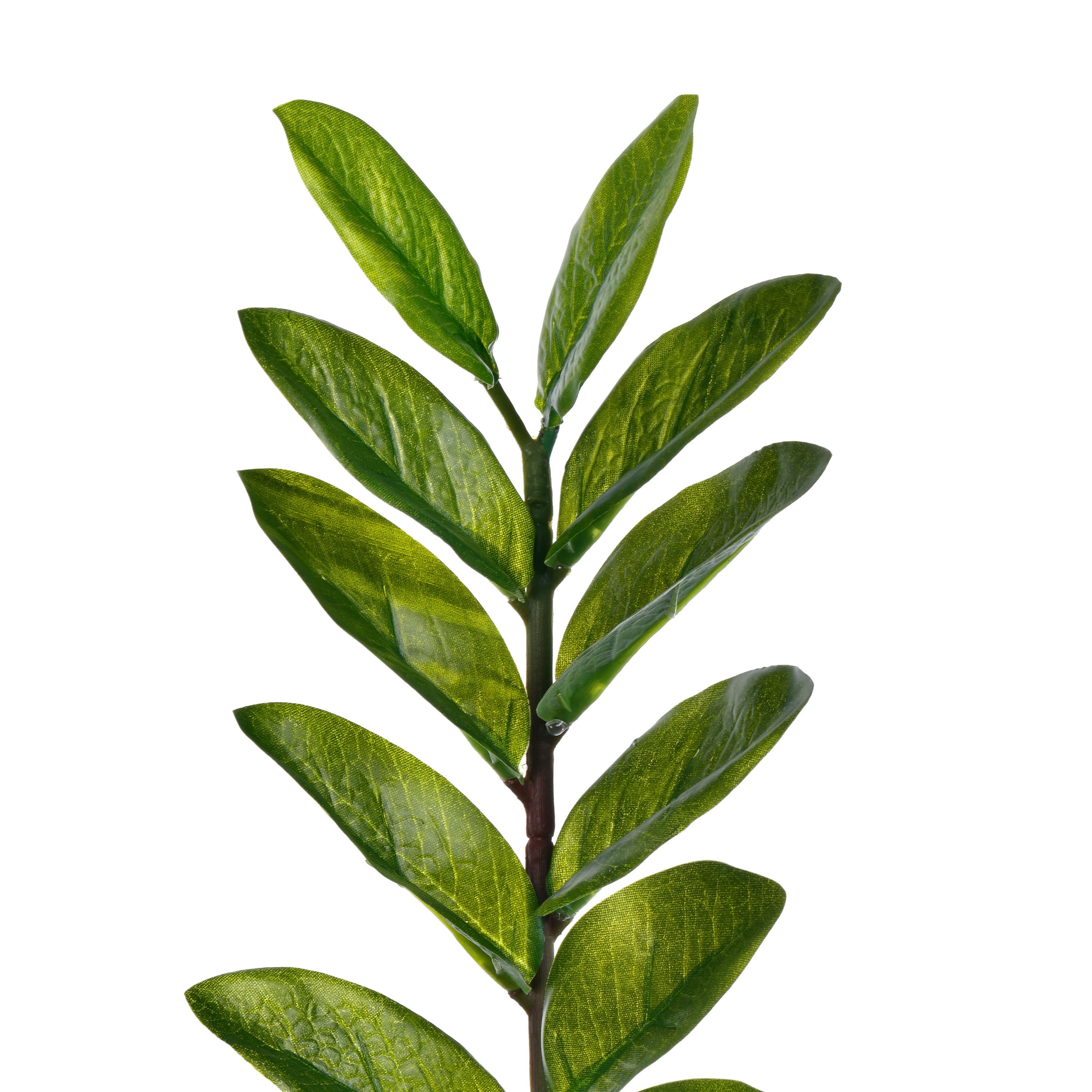 36" Potted Green Zamifolia Artificial Bush