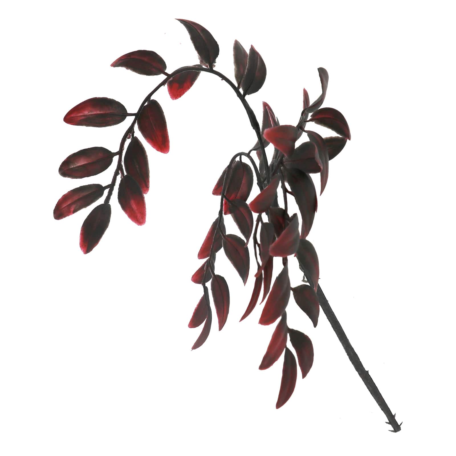 12" Oval Leaf Pick by Ashland